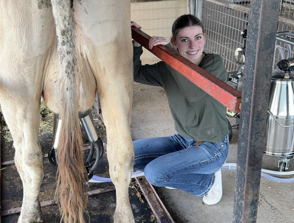 A woman is kneeling beside a large, light-colored horse in a stable, checking its hooves with the horse standing on a platform.
