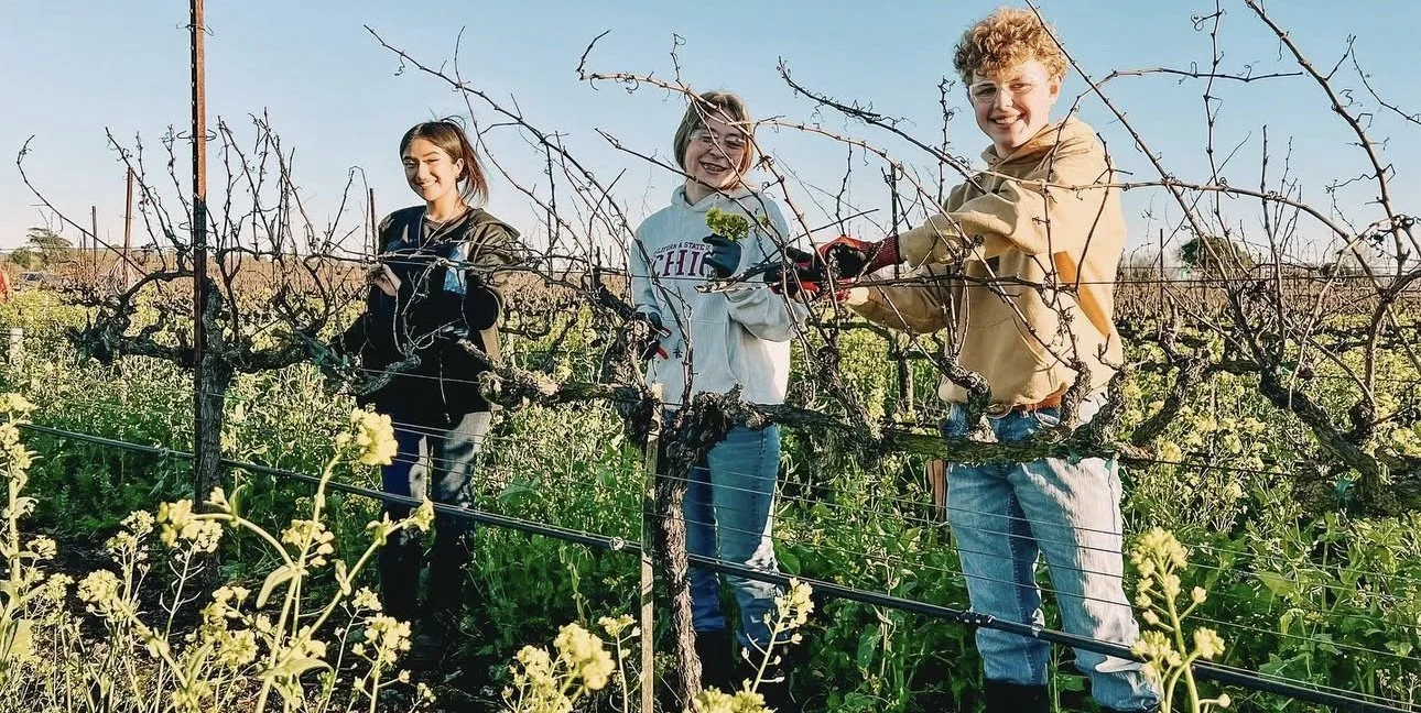 Three children smiling and working together in a vineyard during daytime, harvesting grapes.