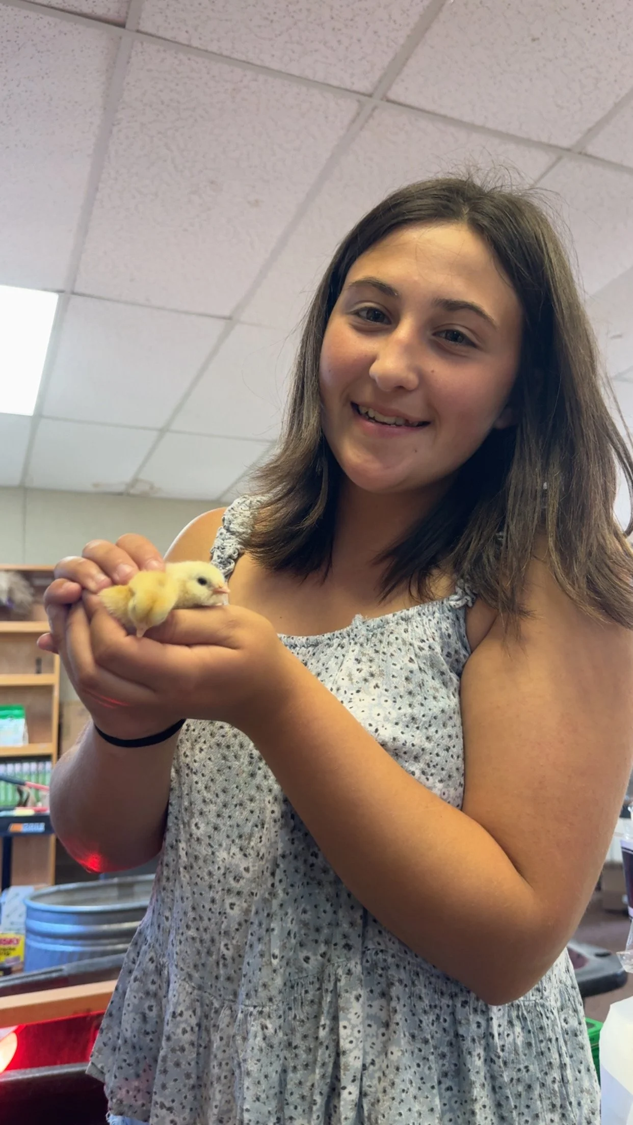 A girl smiling and holding a yellow baby chick with both hands, indoor setting with a ceiling and shelves in the background.