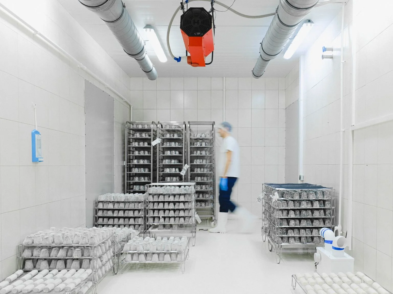 Production alimentaire.jpg