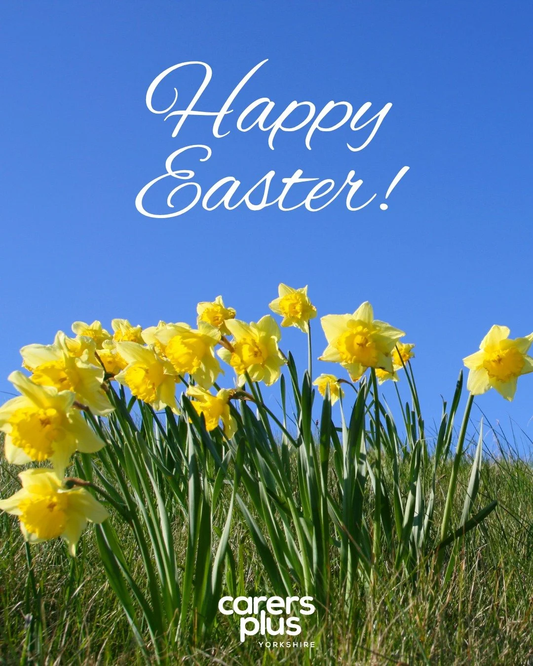 Carers Plus Yorkshire wishes everyone a very happy Easter! 🐣