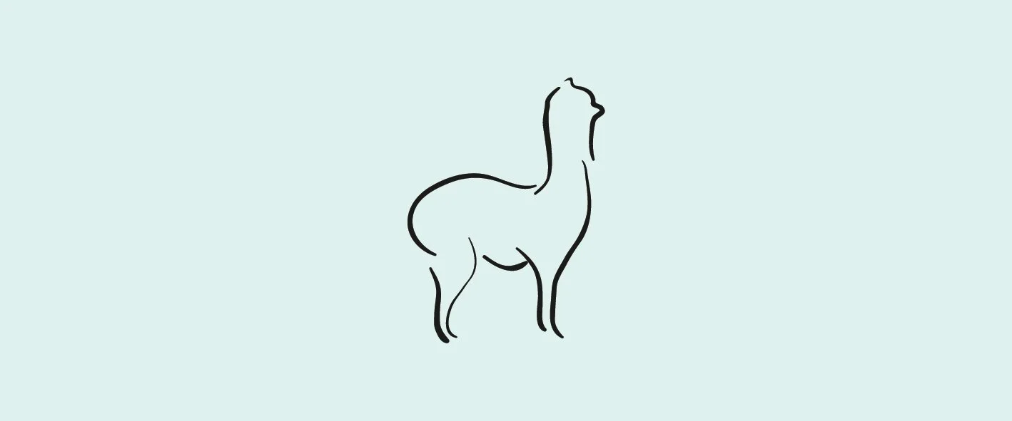 Alpacca