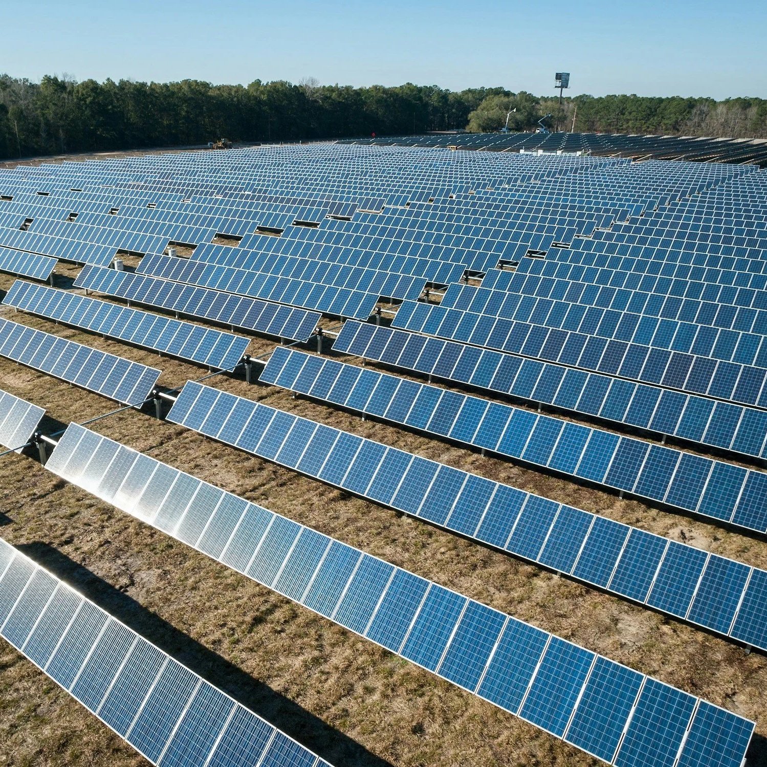 A large solar panel farm with rows of blue solar panels under a clear blue sky.