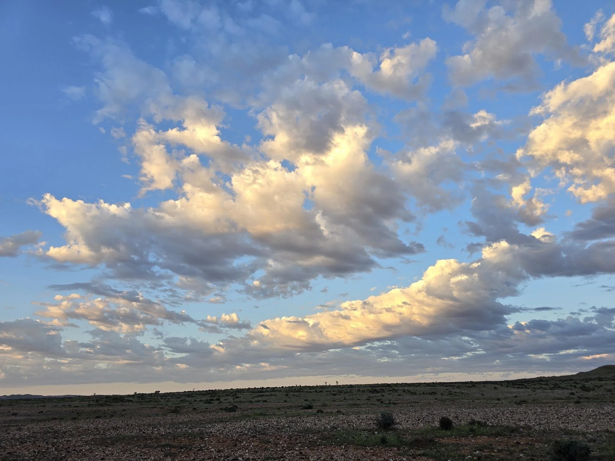 Blog Post Title Four