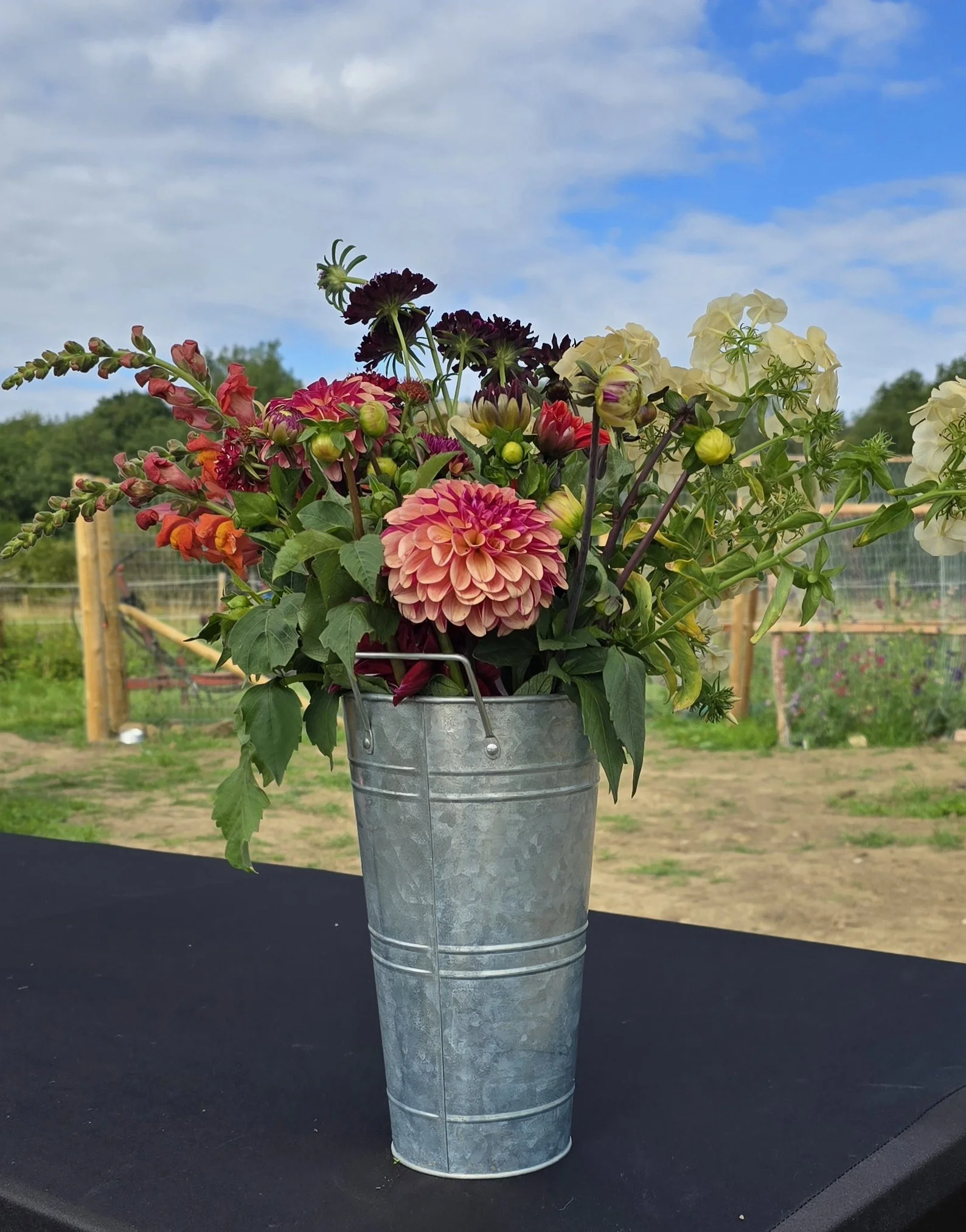 Pick Your Own Flowers Saturday 30th May