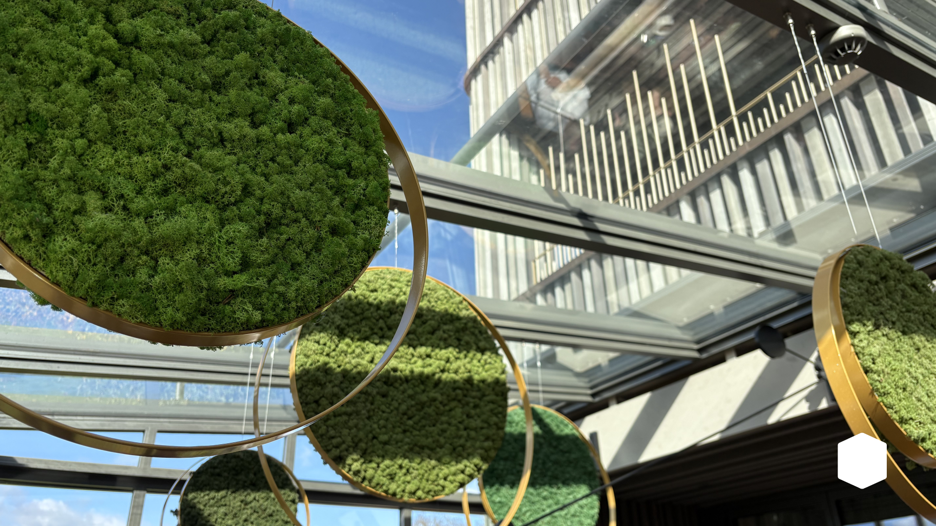 Techtag. 2025 Website-2.png