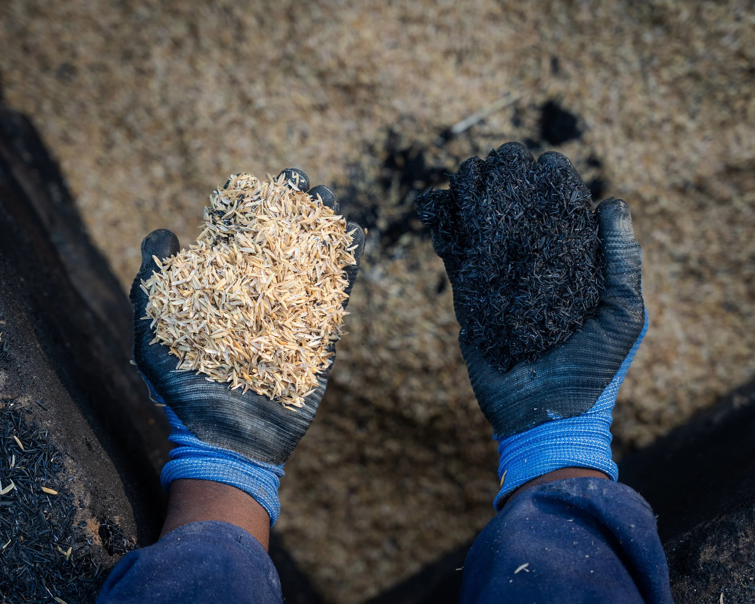 TZA_2025_Usemini_Yusuf Msafiri-276.jpg