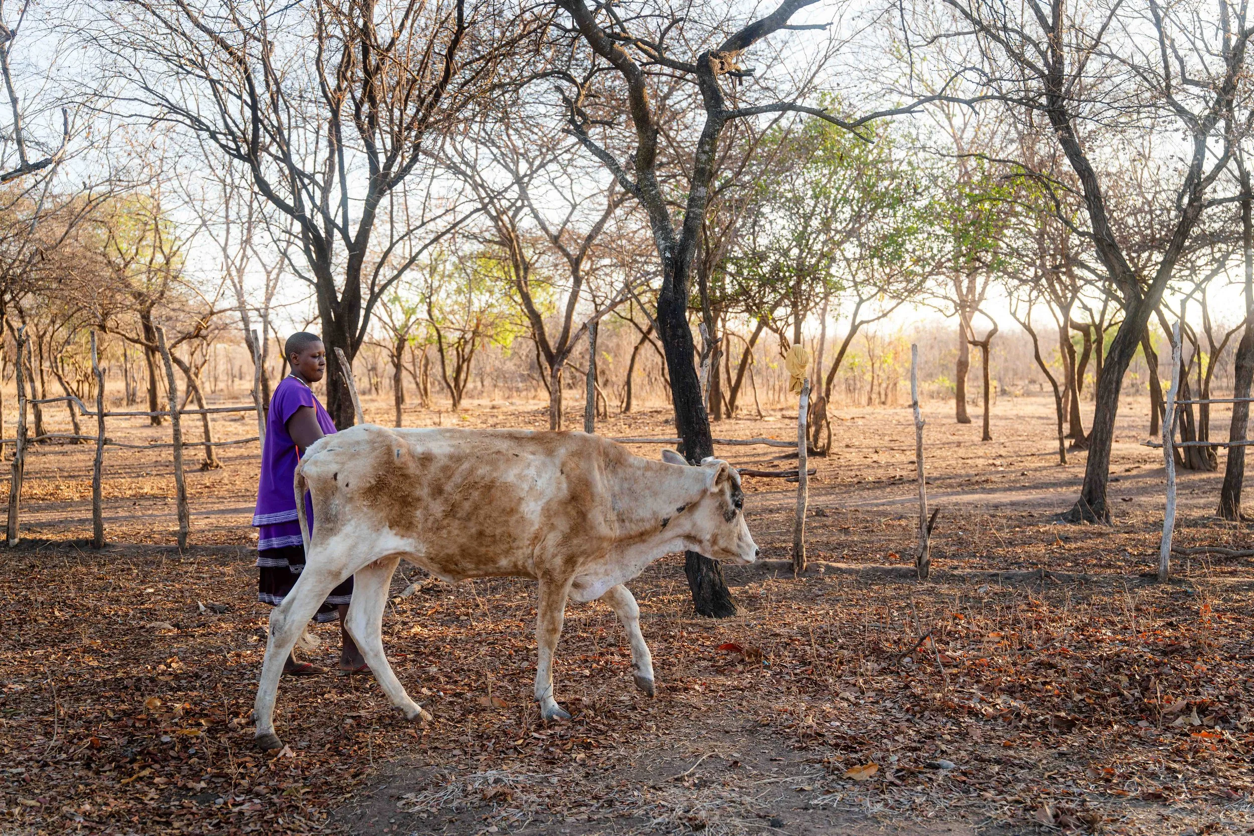 TZA_2025_FPC_Biovision_Yusuf Msafiri-00180.jpg