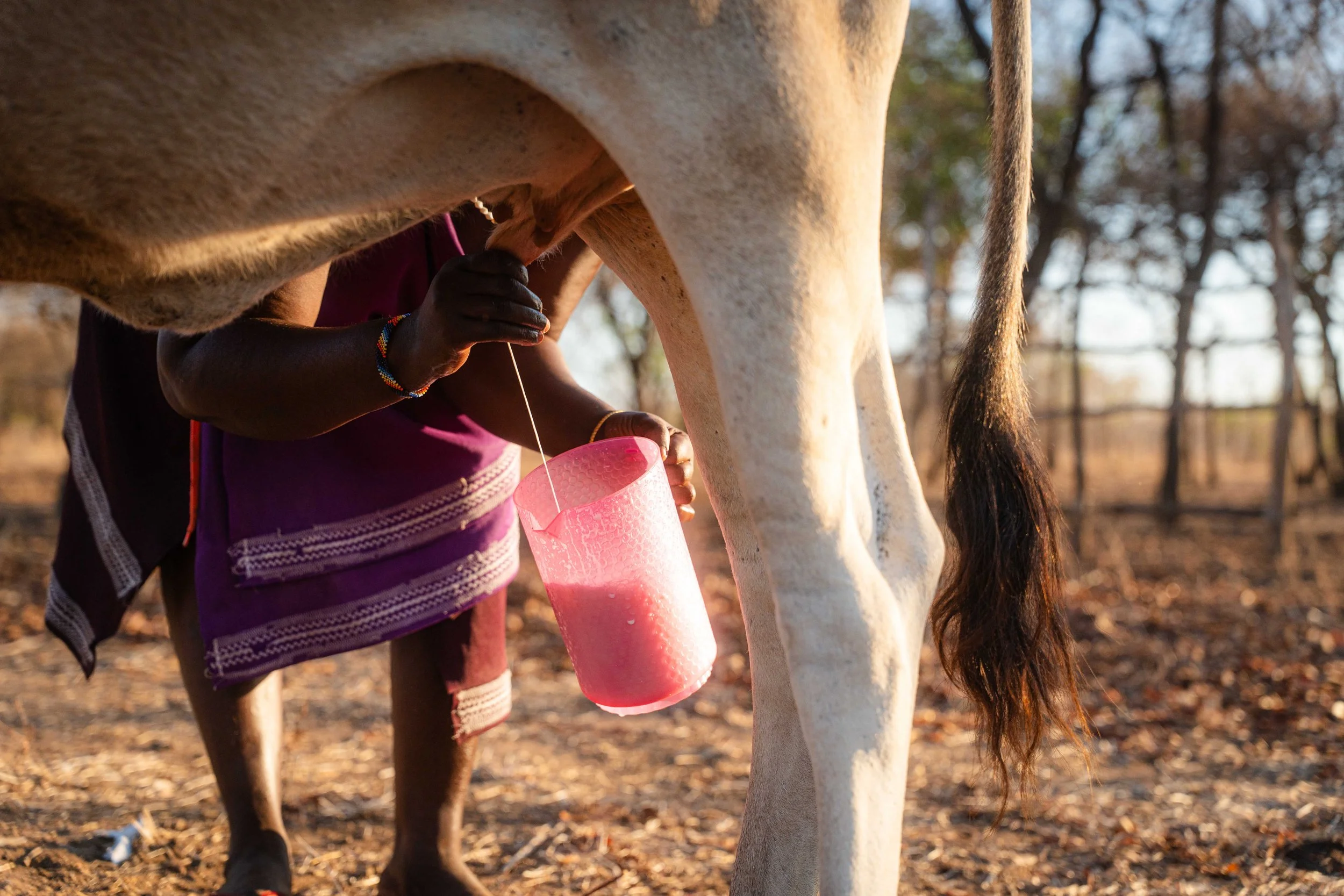 TZA_2025_FPC_Biovision_Yusuf Msafiri-00173.jpg
