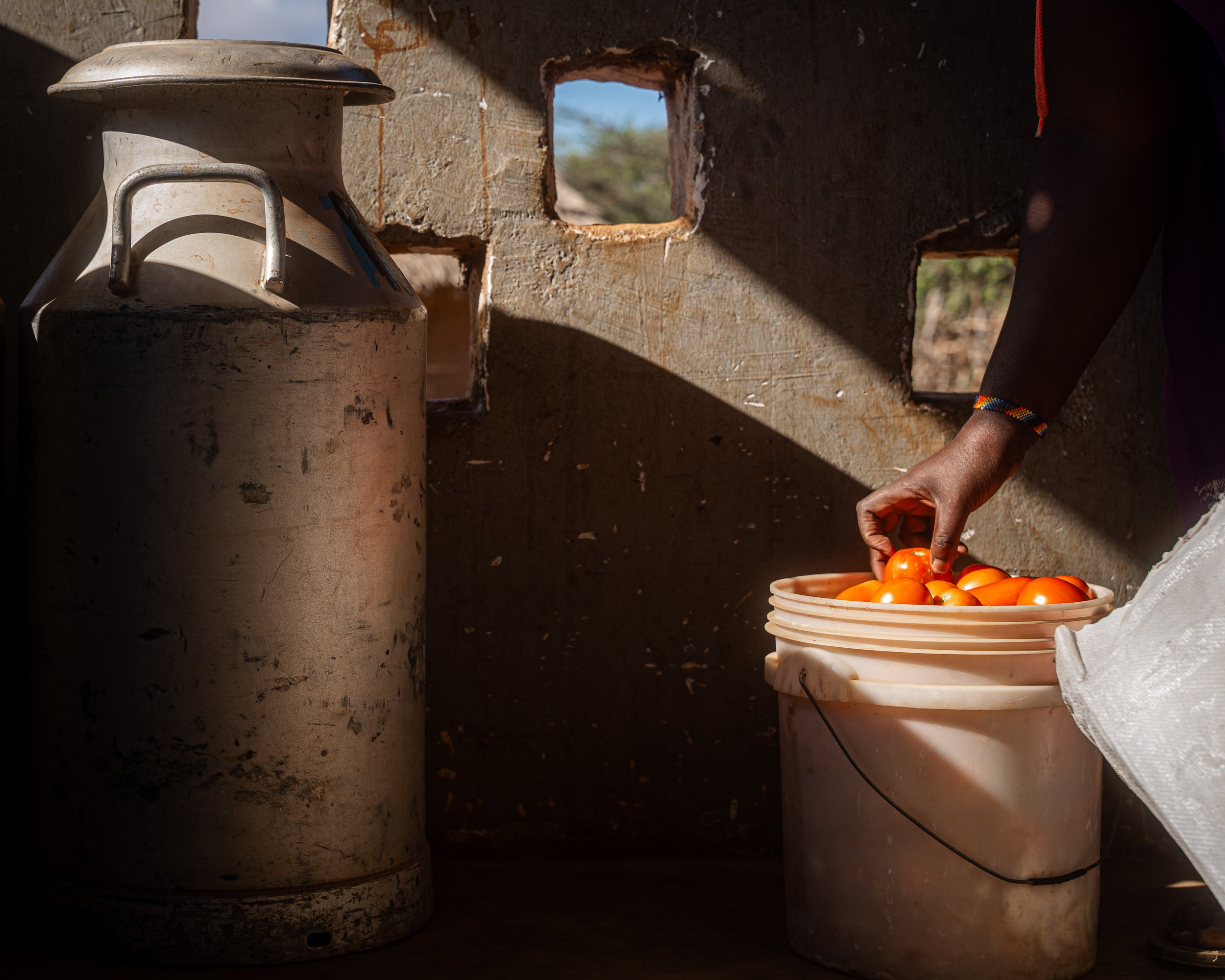 TZA_2025_FPC_Biovision_Yusuf Msafiri-00833.jpg