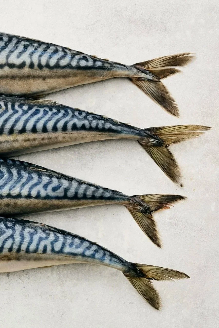 25 JULY INTERNATIONAL WEBSITE4239 Large.jpg