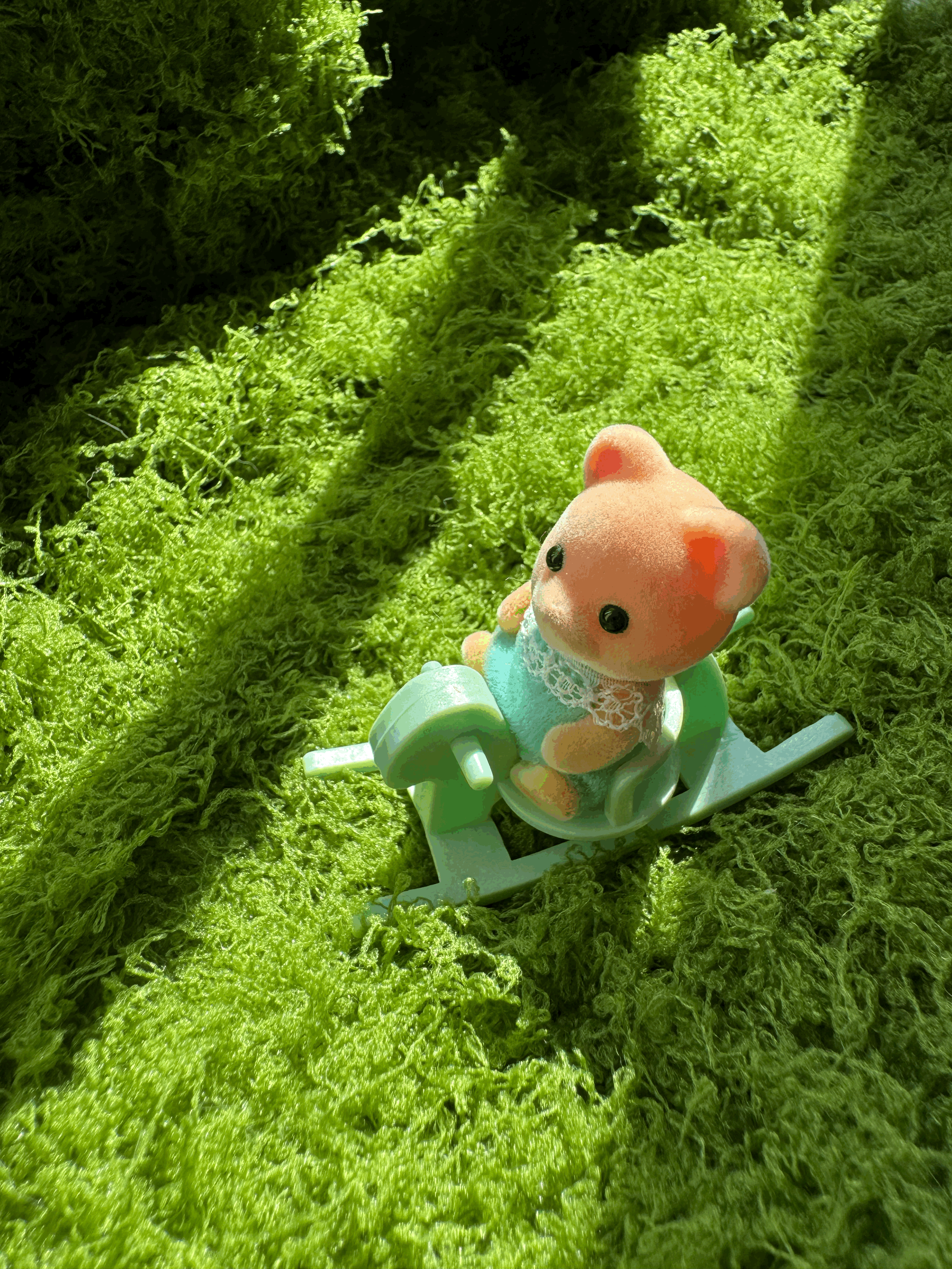 tempImager5OmRp.gif