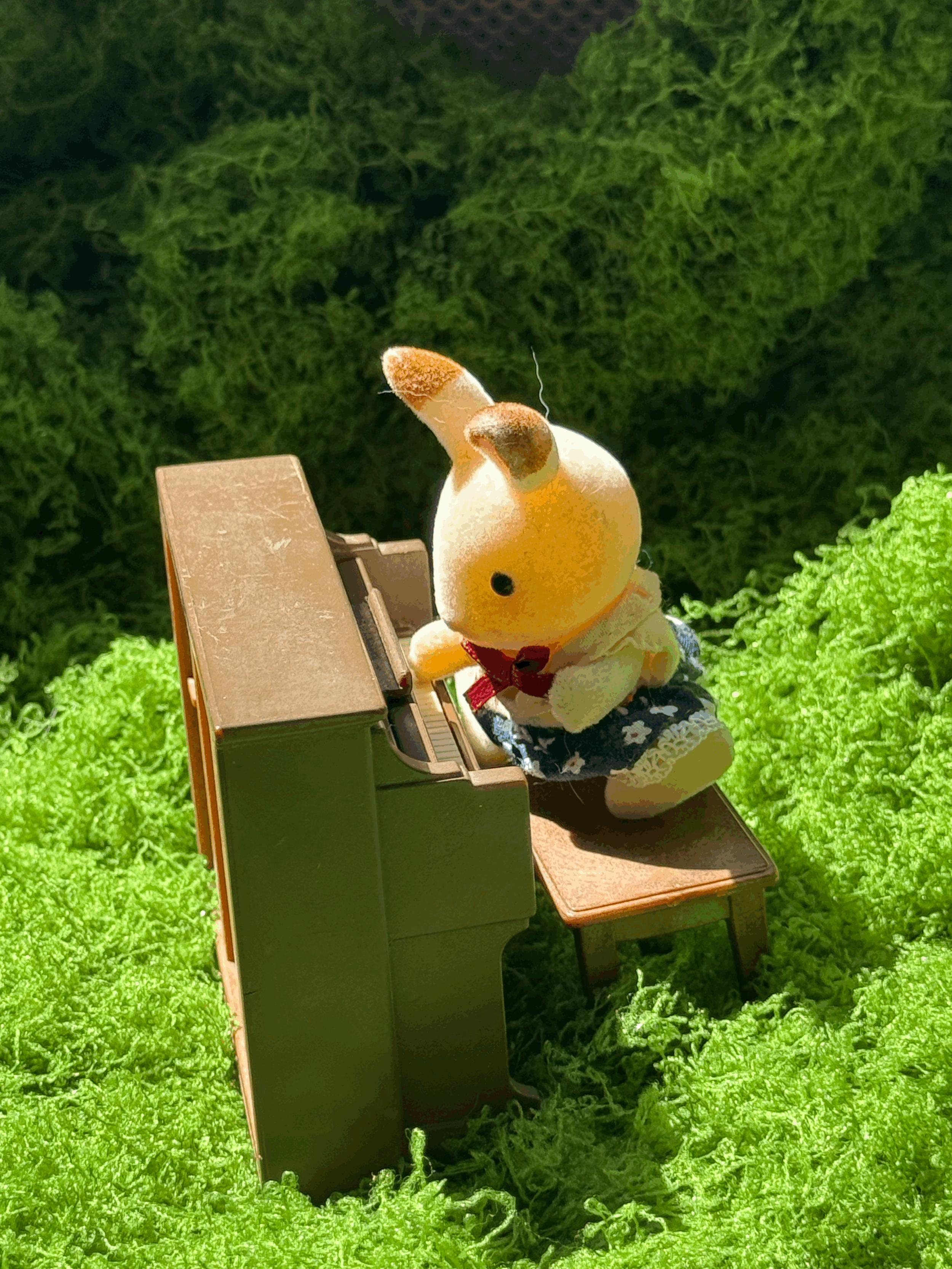 tempImageXgpEa5.gif