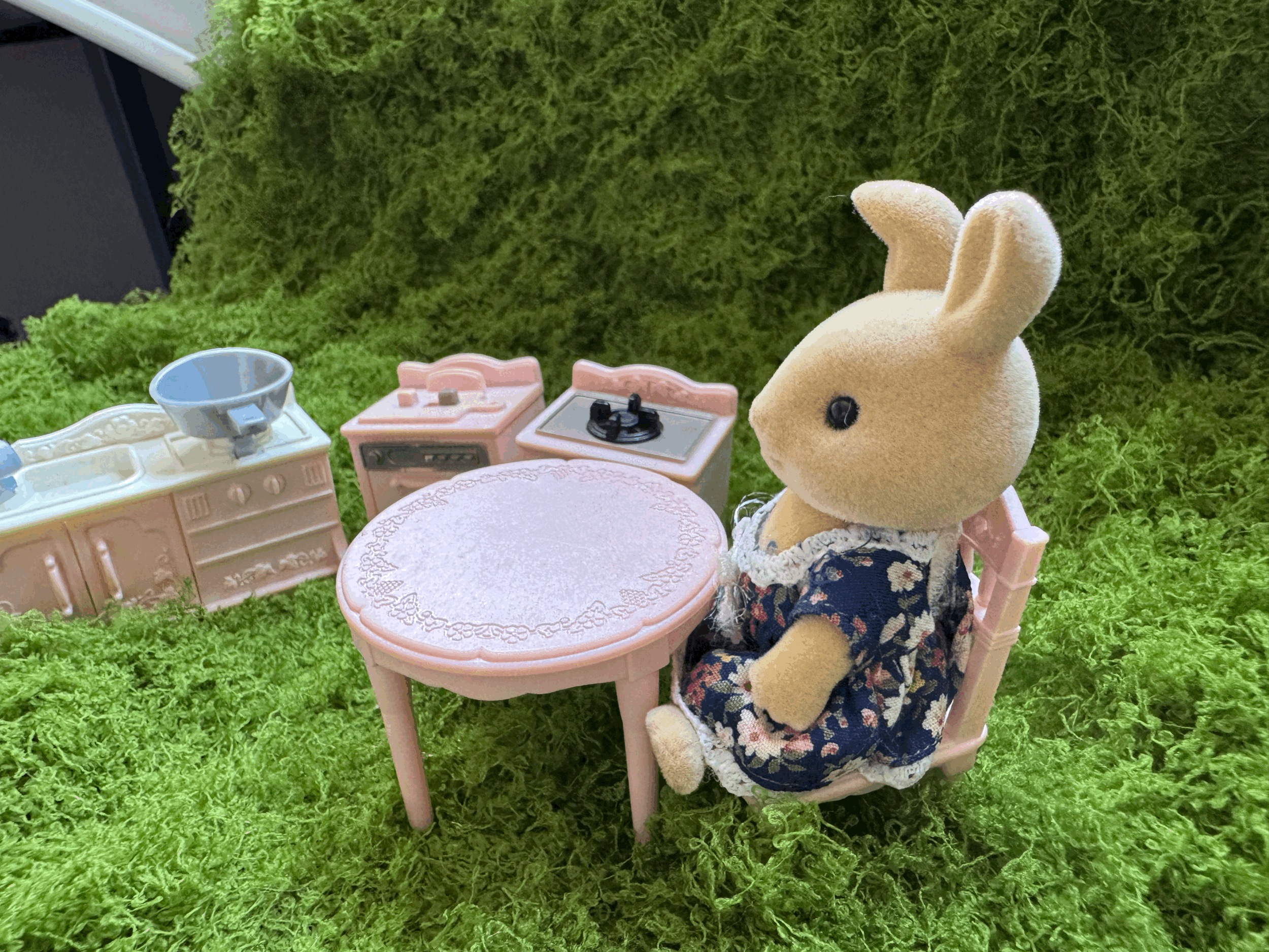 tempImageM2nf2N.gif
