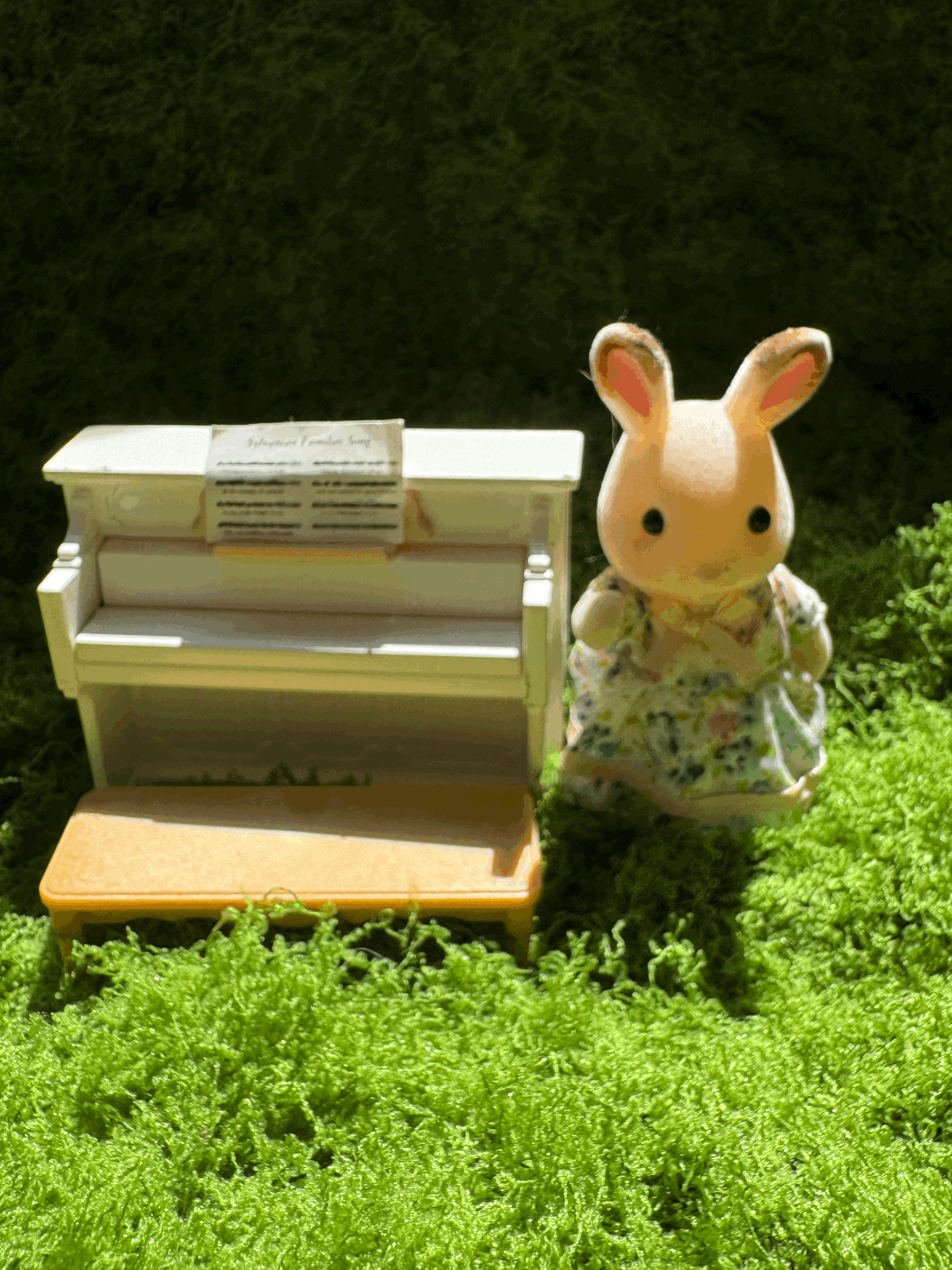 tempImage5AOWXI.gif