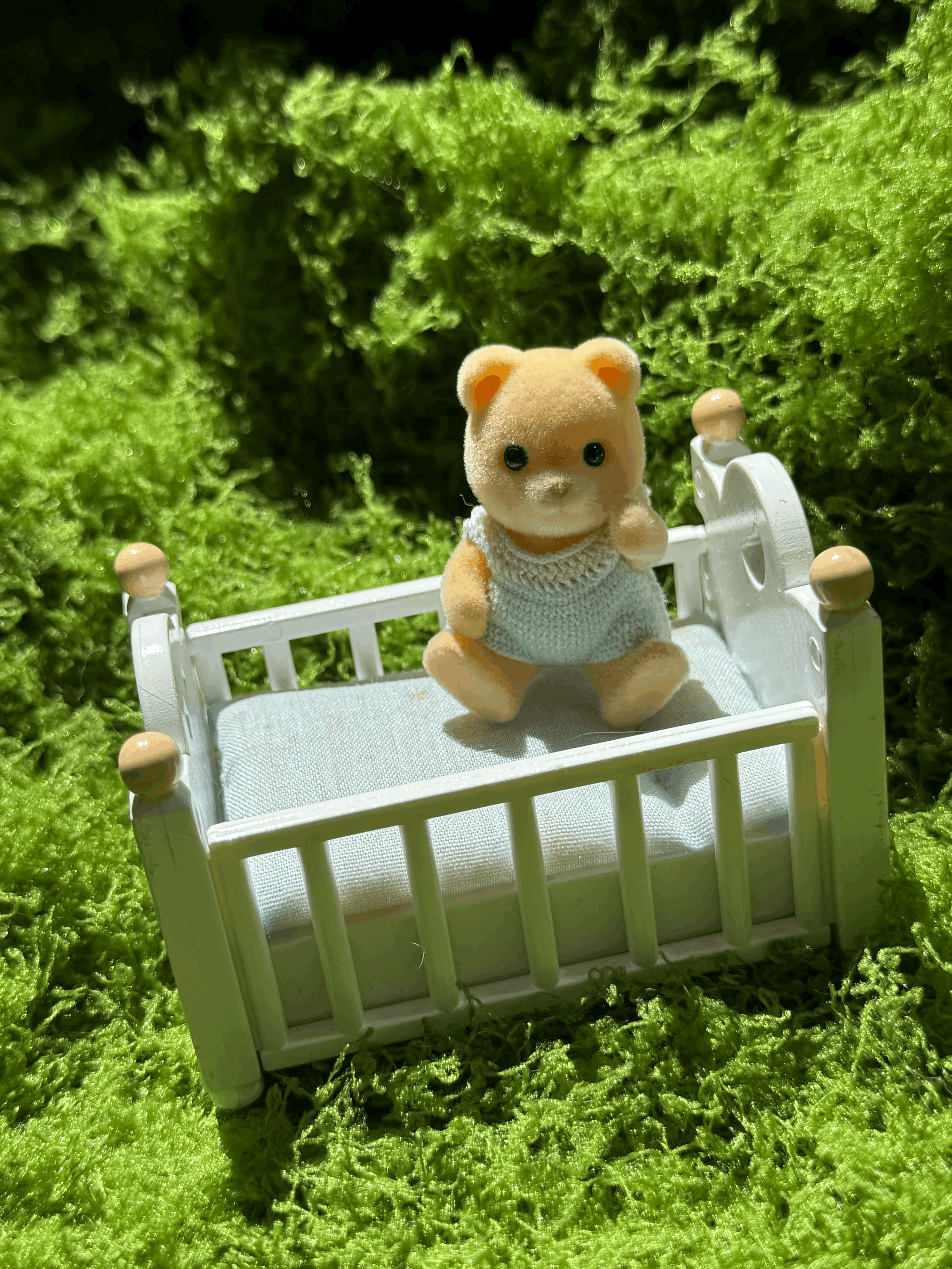 tempImagenjzsYq.gif