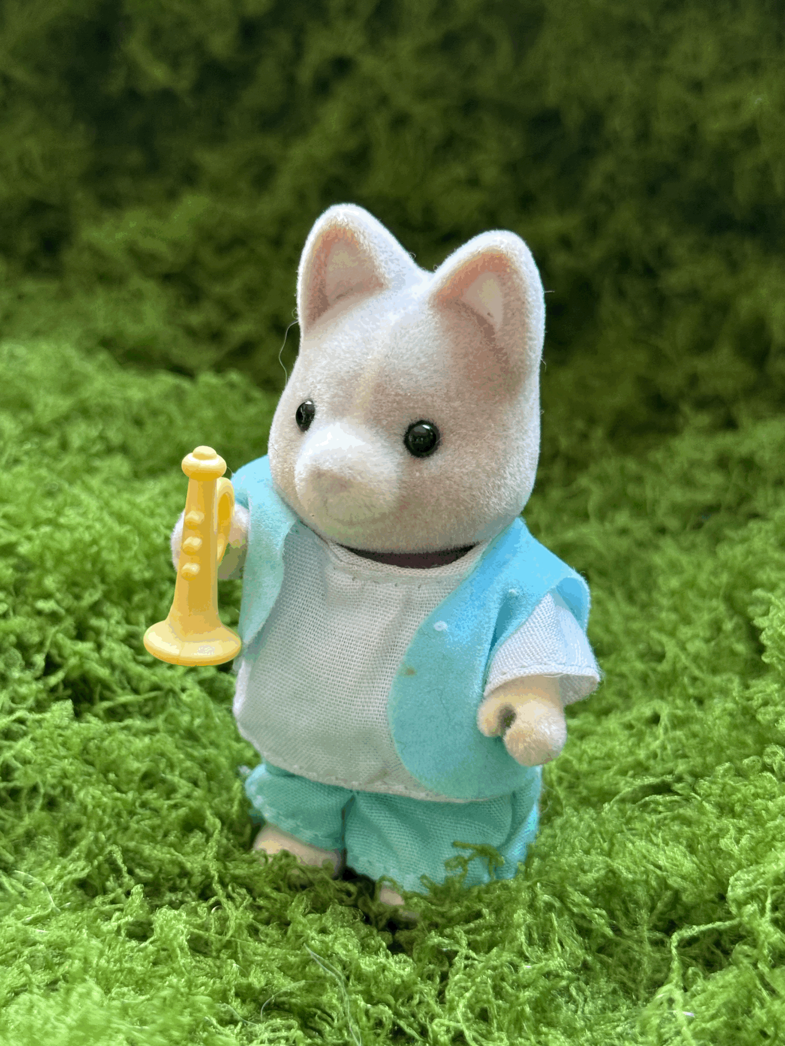 tempImage1SYEnQ.gif