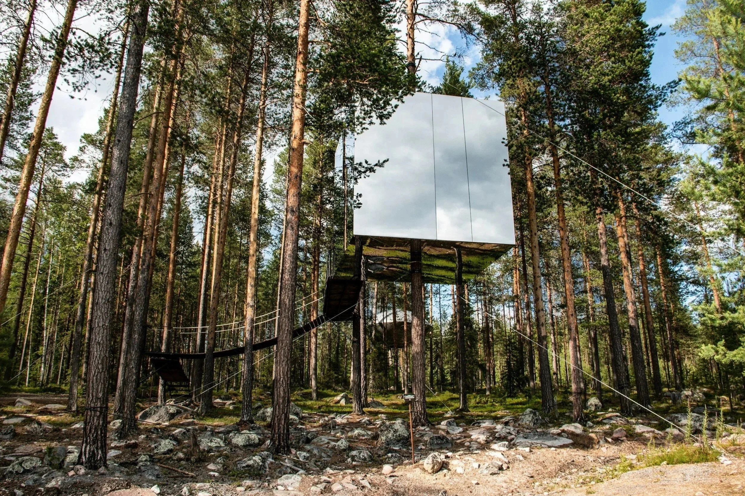 A forest scene with tall pine trees, rocky ground, and a large mirror-like cube structure suspended among the trees.