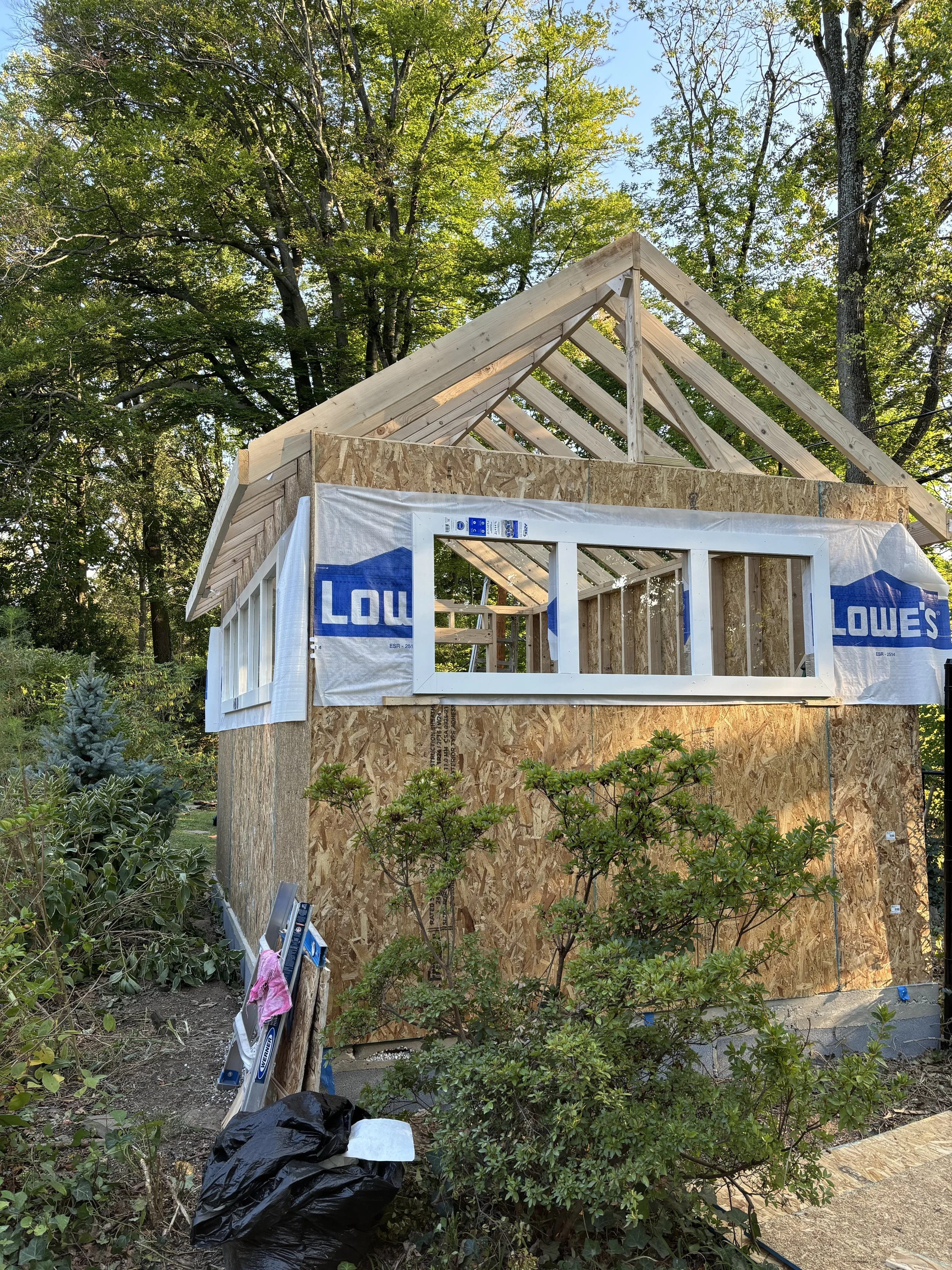 Photo Sep 21 2024, 5 17 29 PM.jpg