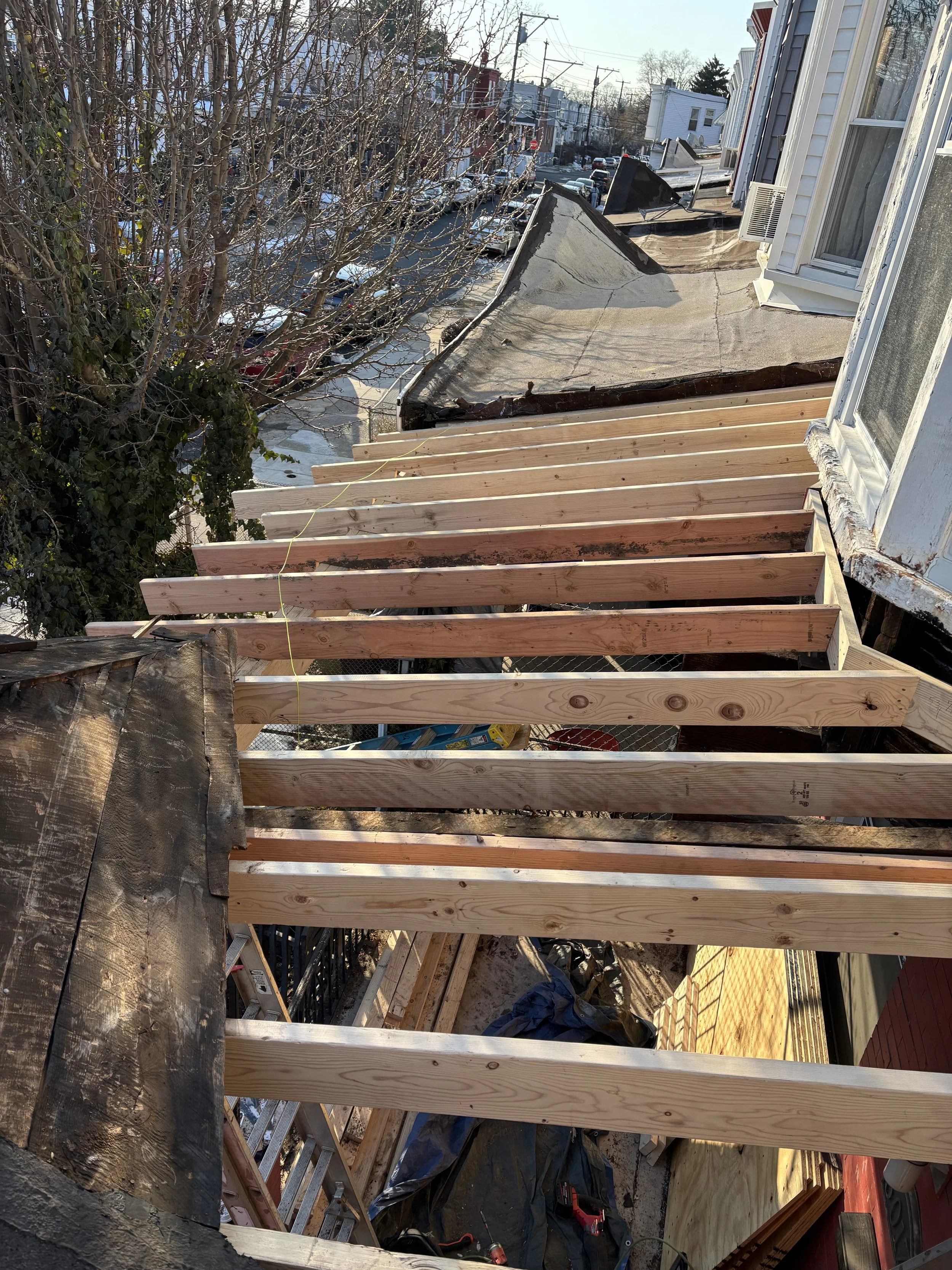 Photo Feb 28 2026, 4 25 29 PM (1).jpg