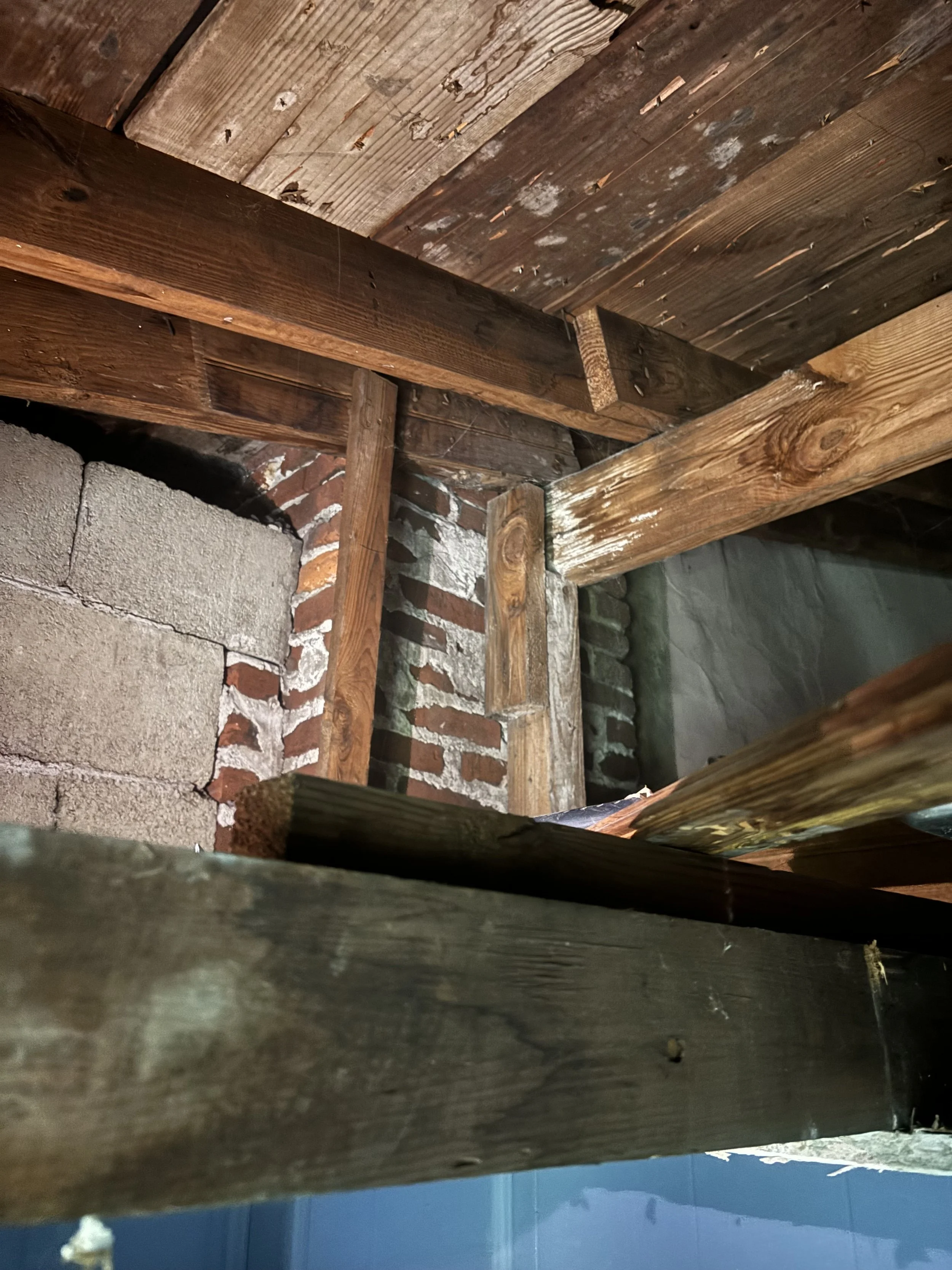 Photo Jul 20 2024, 10 30 27 AM.jpg