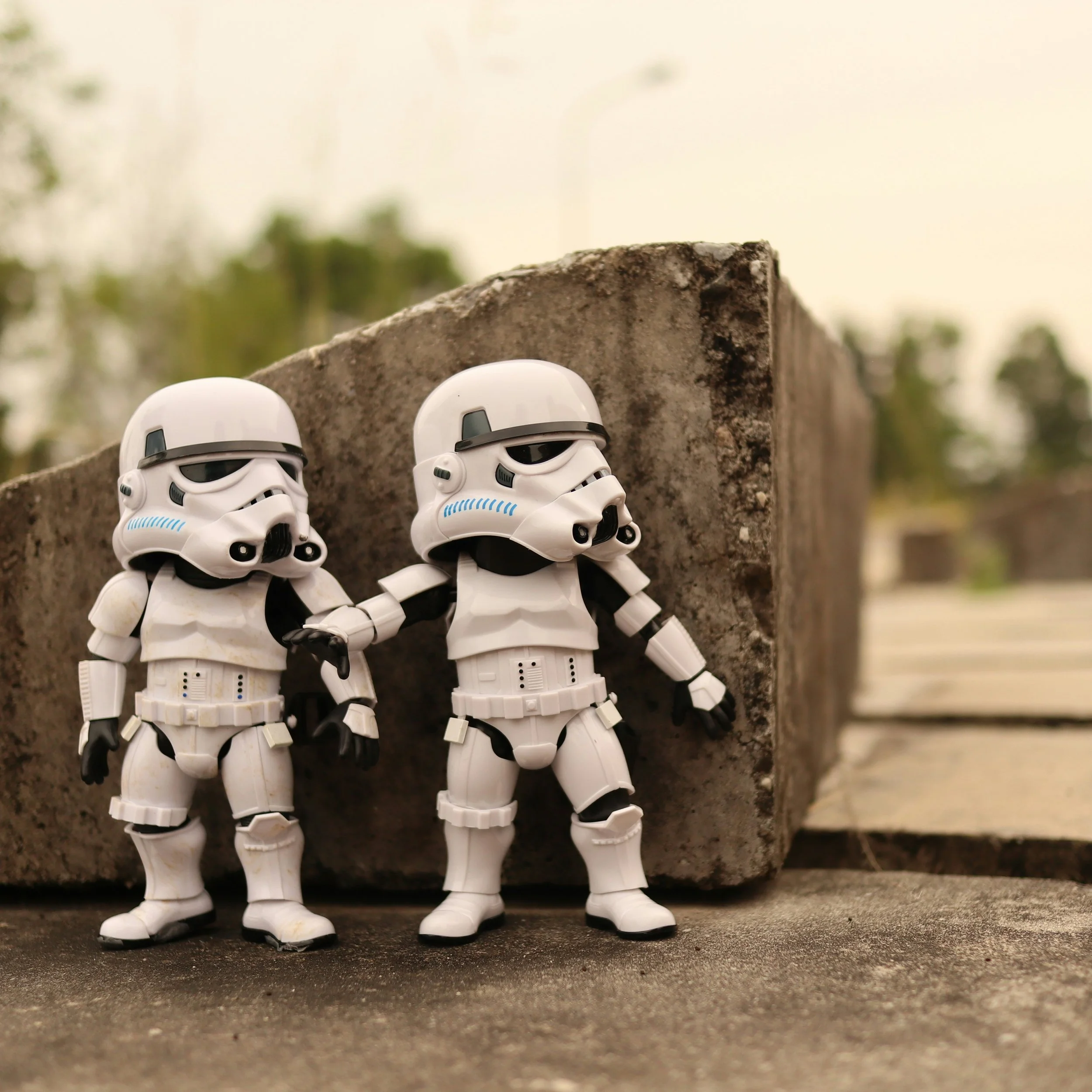 May the Love Be With You! A Sci-Fi &amp; Fantasy Wedding for the Ultimate Nerds