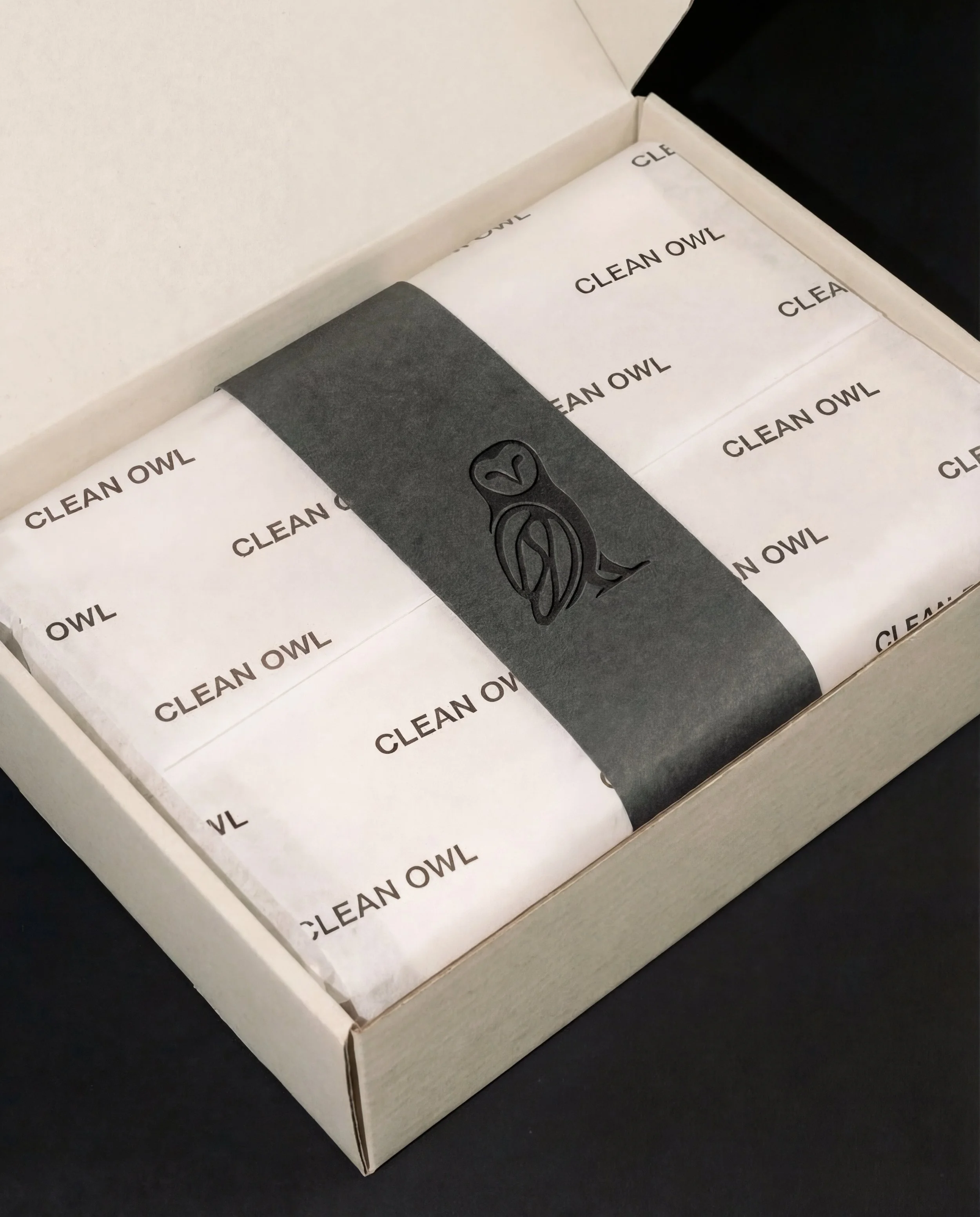 CLEAN OWL_Gemini 3 (Nano Banana Pro)_2026-10-02_06-48-49.jpeg