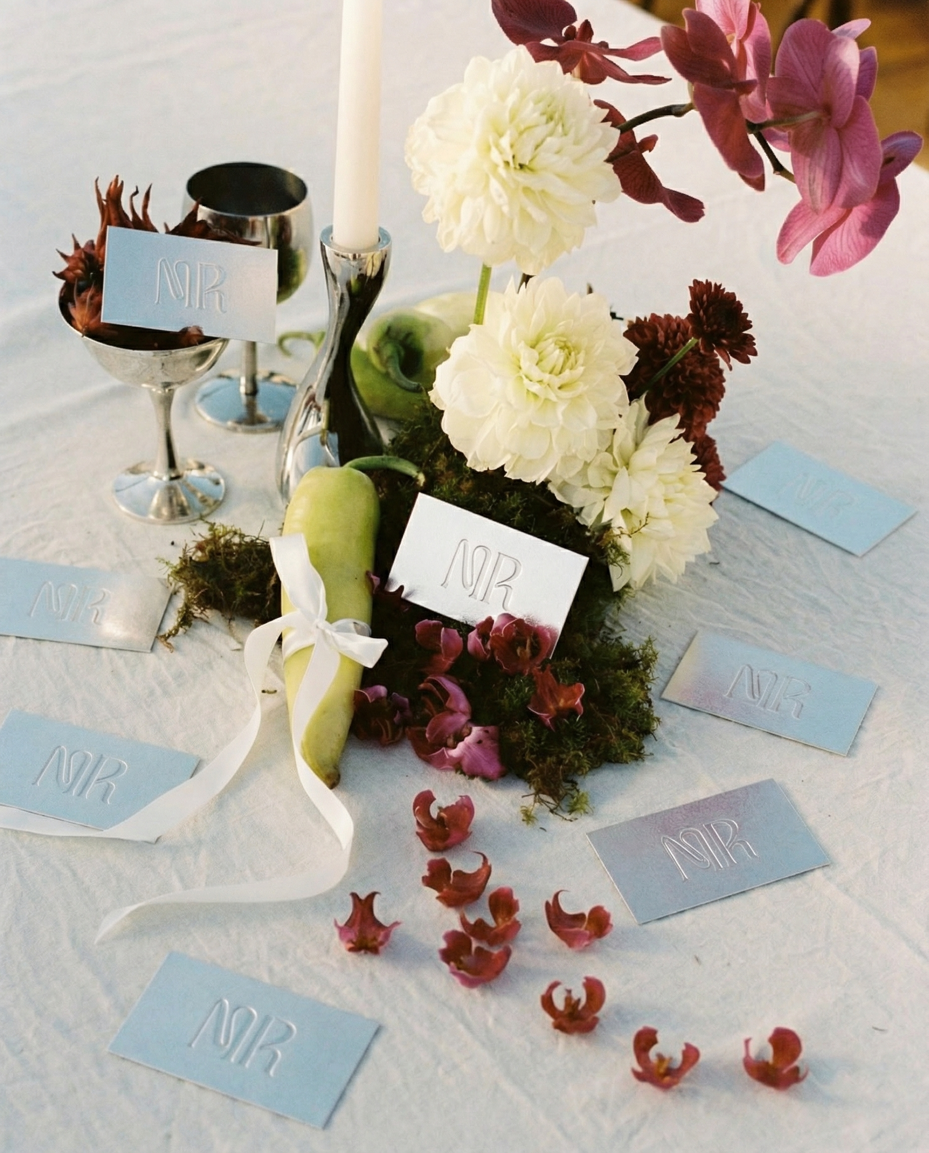 MADISON ROSE_Gemini 3 (Nano Banana Pro)_2026-02-14_04-34-31.png