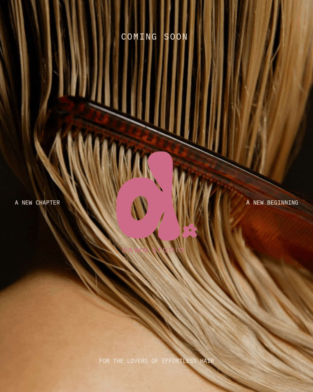 Your paragraph text.gif