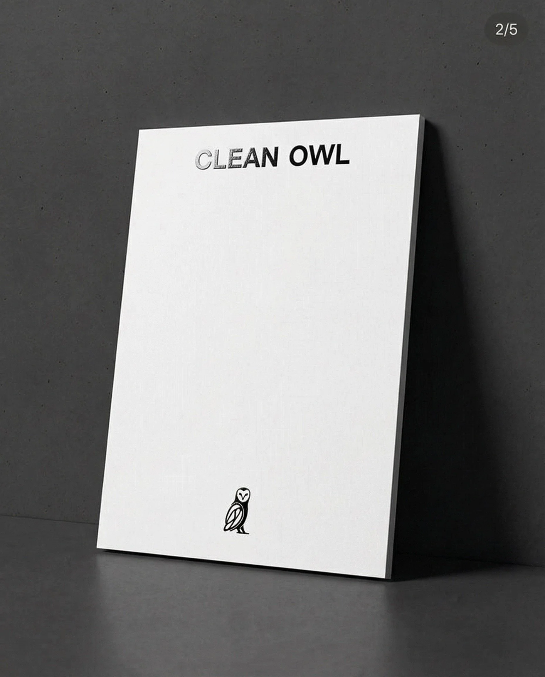 CLEAN OWL_Gemini 3 (Nano Banana Pro)_2026-10-02_06-49-46.jpeg