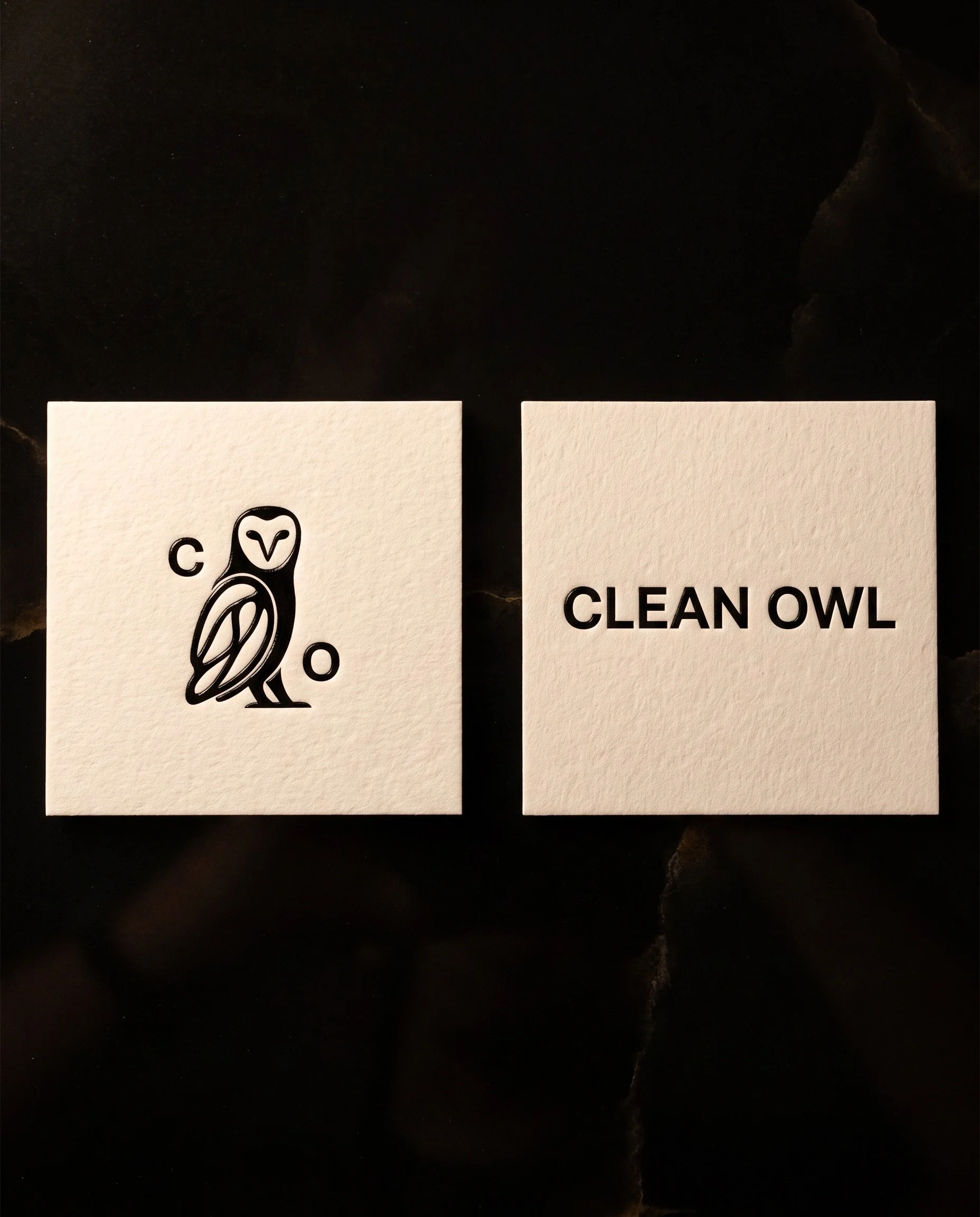 Clean Owl Mockiups_Gemini 3 (Nano Banana Pro)_2026-10-02_06-56-35.jpeg