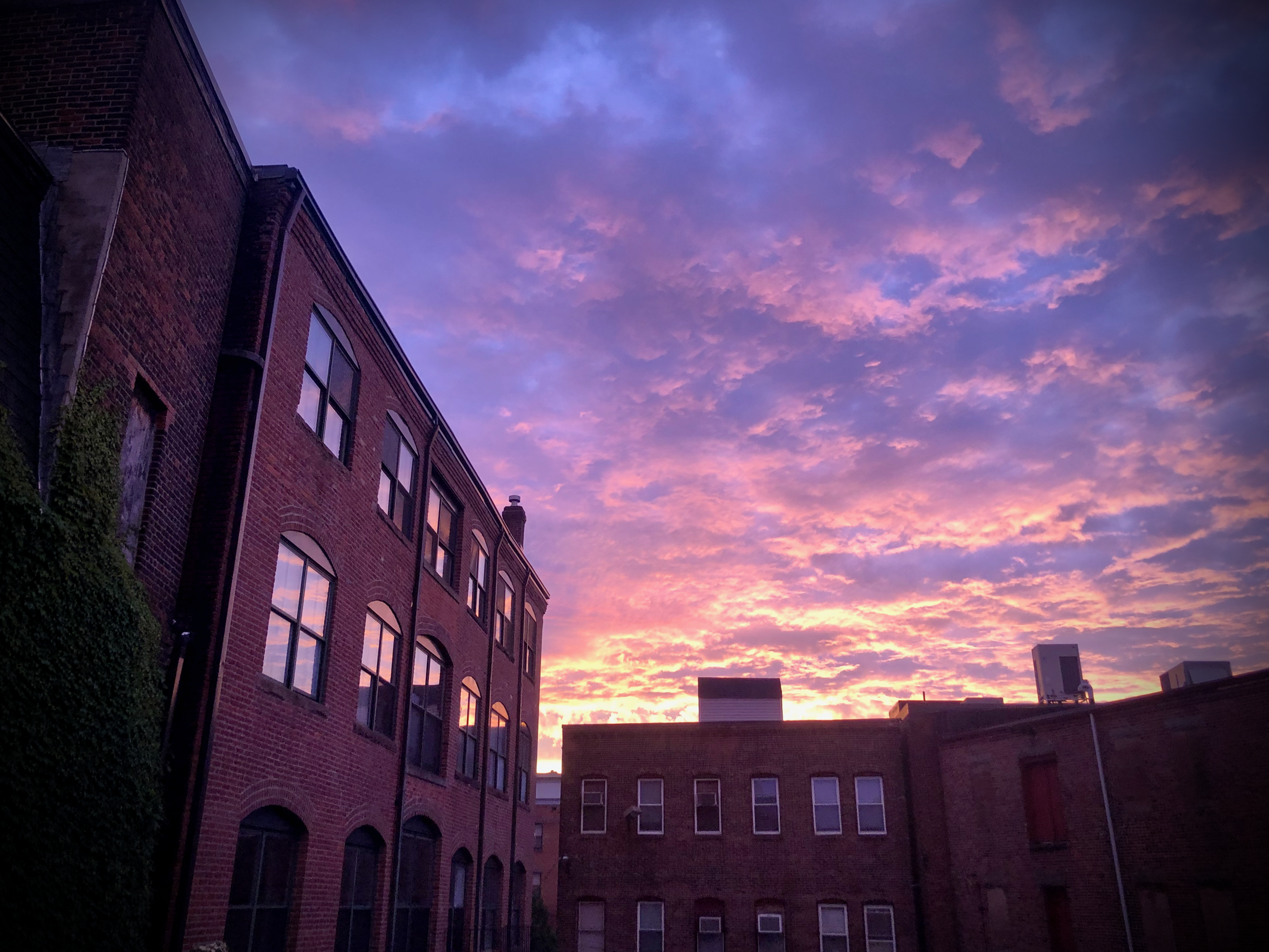 6 - FHGS_CHESAK_2025_IMG_0157.png