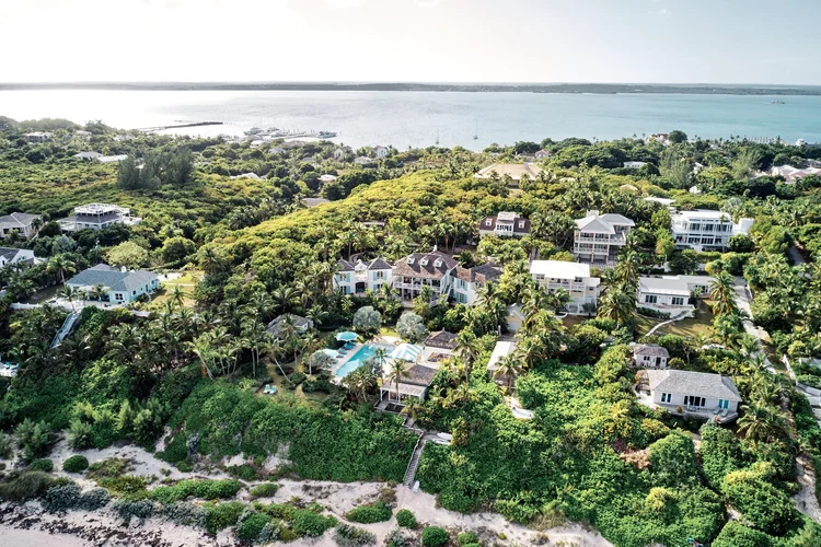 Rosalita photo 19