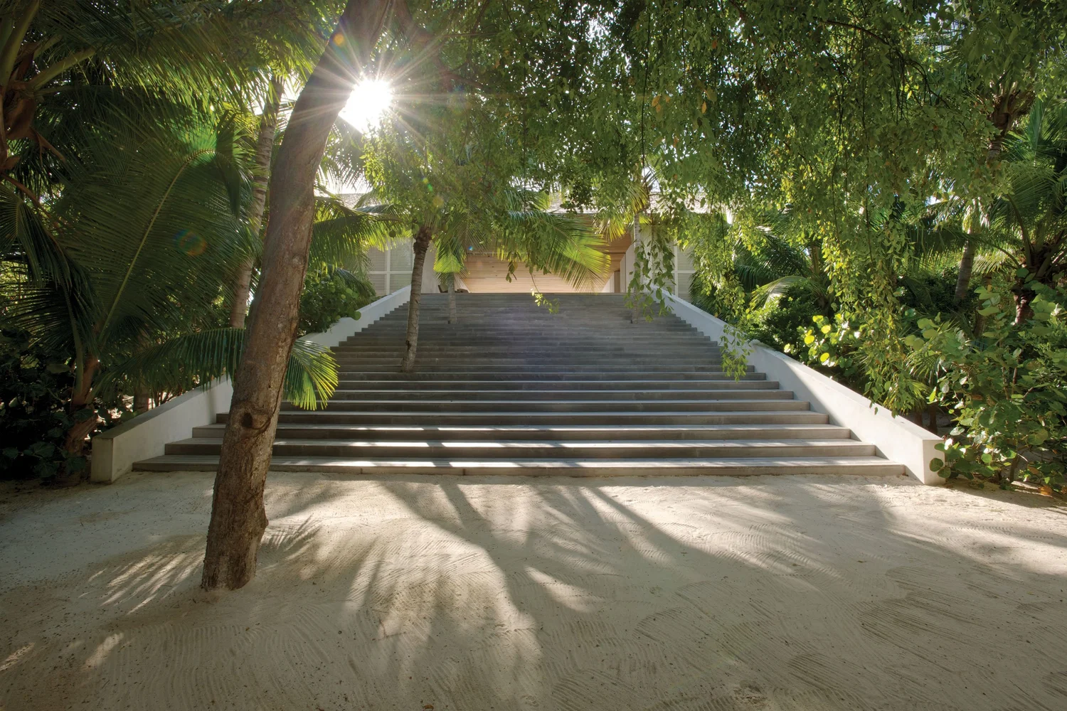 Dune House photo 1