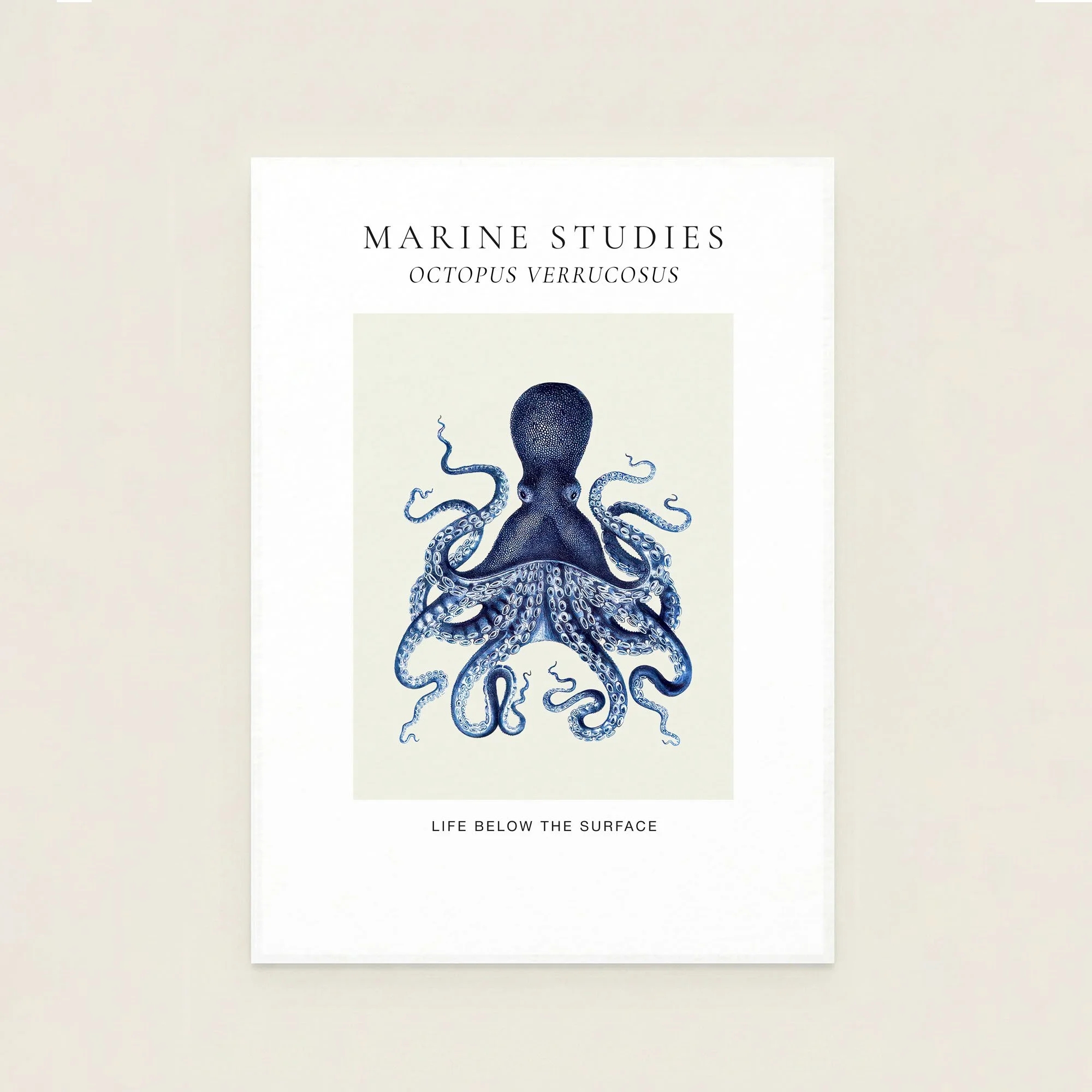 octopus-navy-marine-study-art-print.jpg