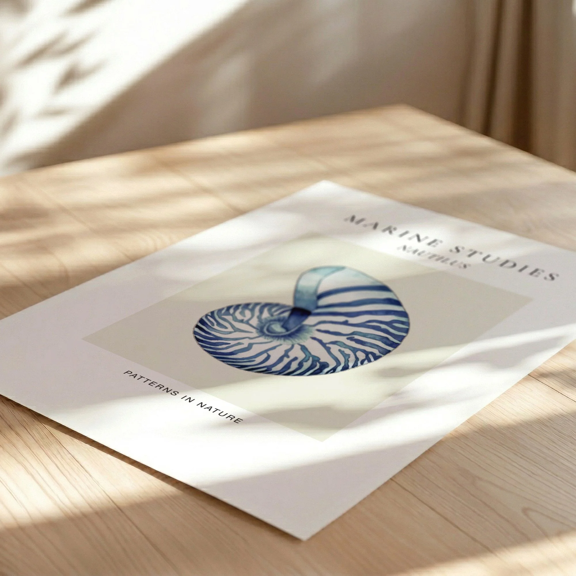 nautilus-shell-navy-botanical-study-fine-art-paper.jpg