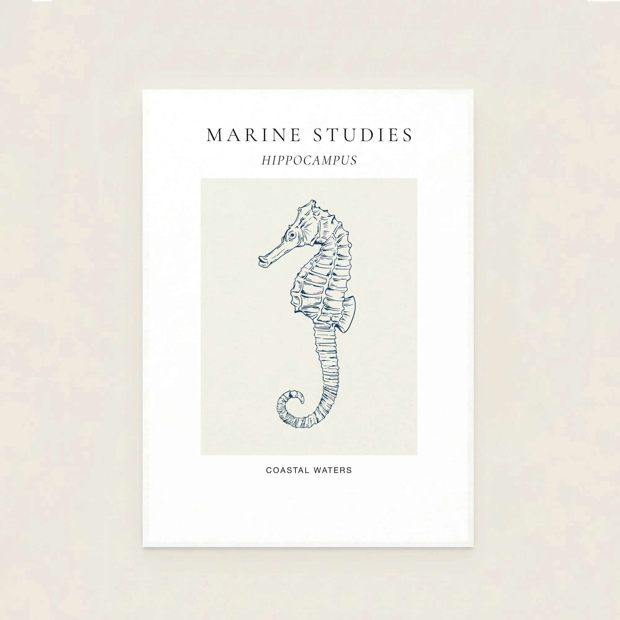 seahorse-navy-marine-study-art-print.jpg
