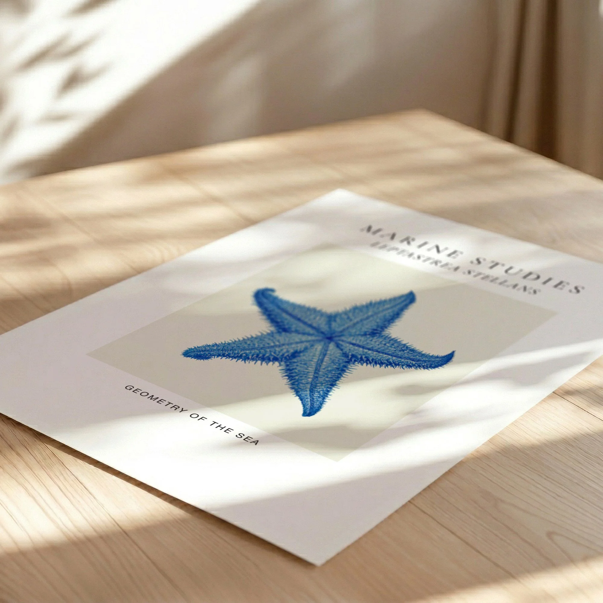 starfish-navy-marine-study-fine-art-paper.jpg