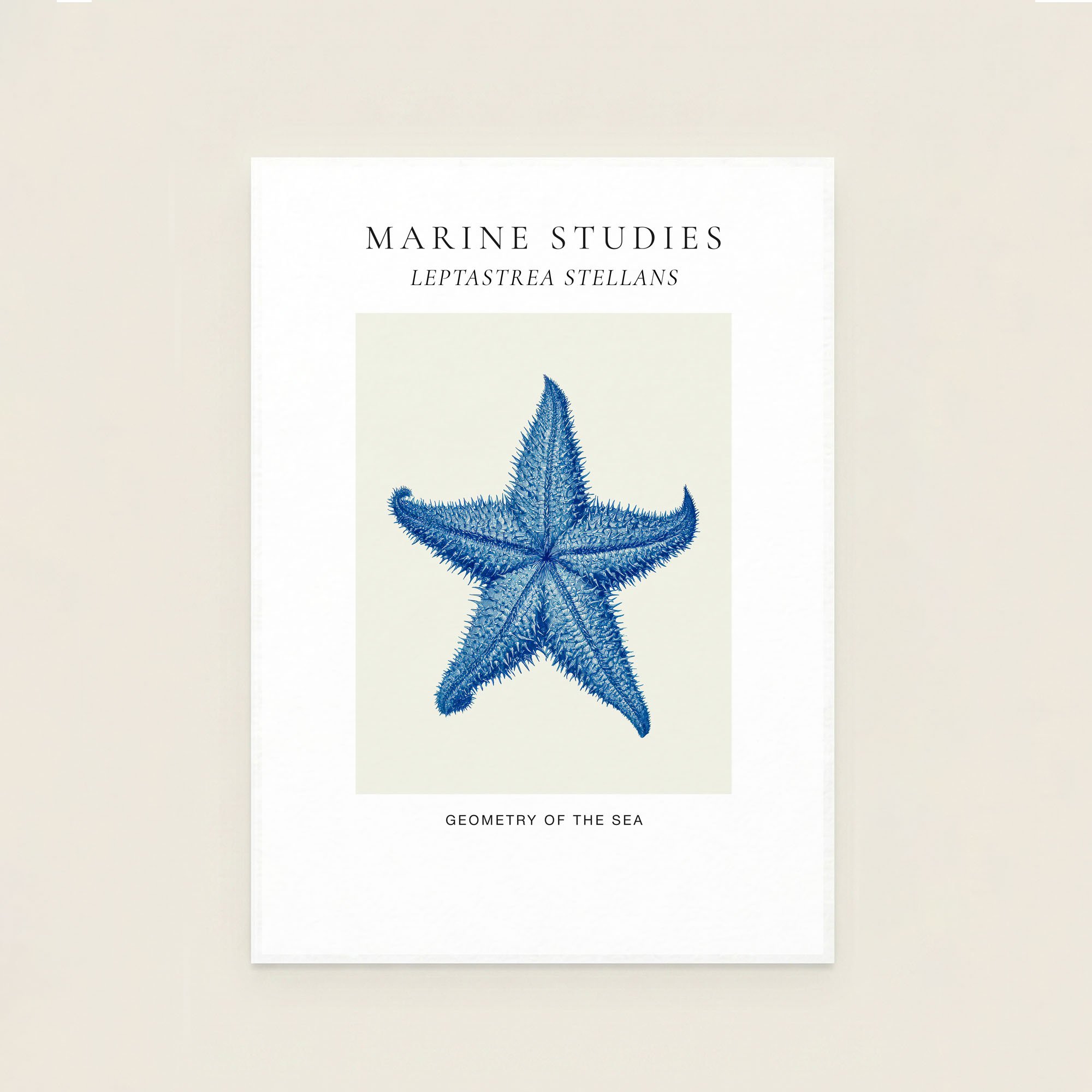 Starfish Marine Study Print