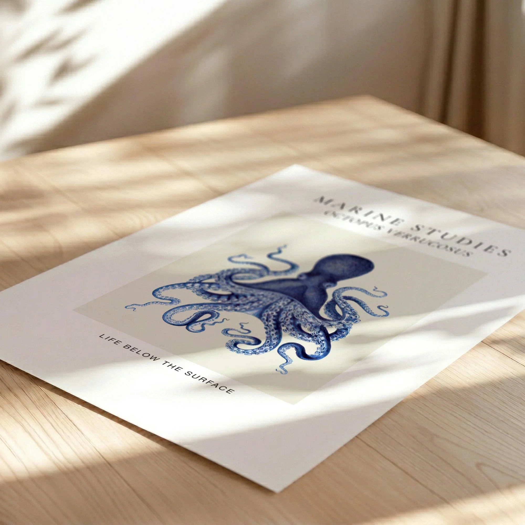 octopus-navy-marine-study-fine-art-paper.jpg