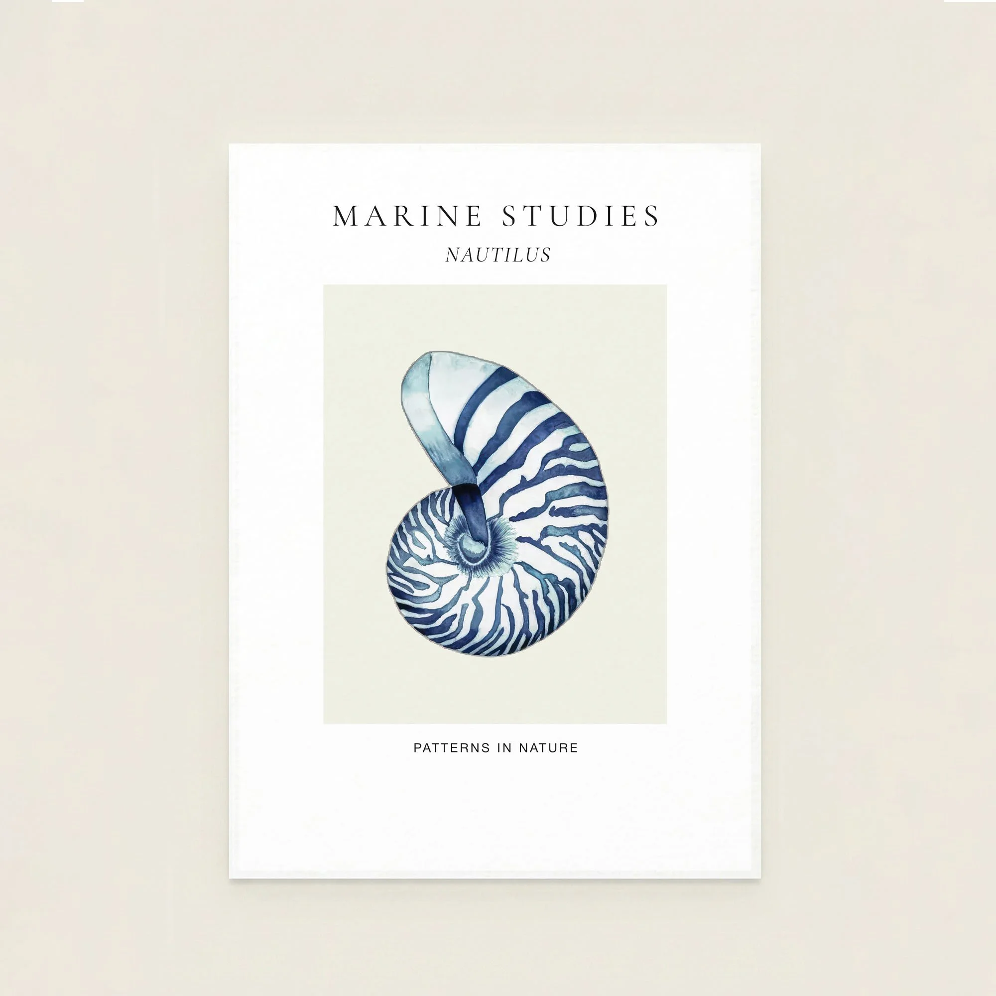nautilus-shell-navy-botanical-study-art-print.jpg