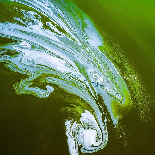 Abstract green and white swirling paint or ink in liquid.
