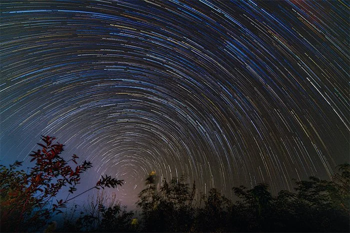 Long exposure photo of star trails circling the night sky above trees.