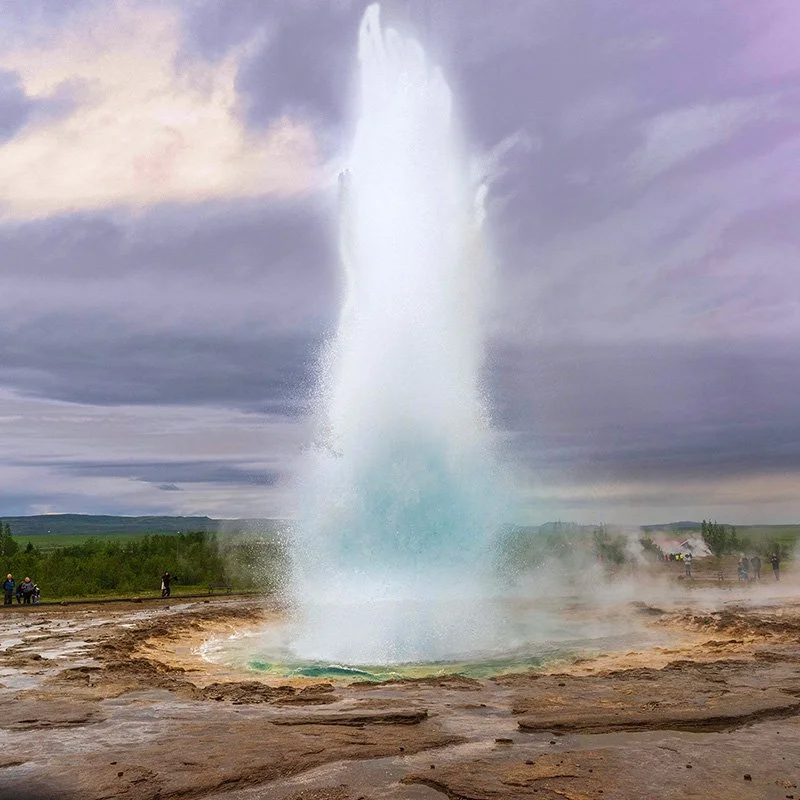 A large geyser erupting with water shooting high into the air in a geothermal area, with a cloudy sky and tourists watching from a distance.