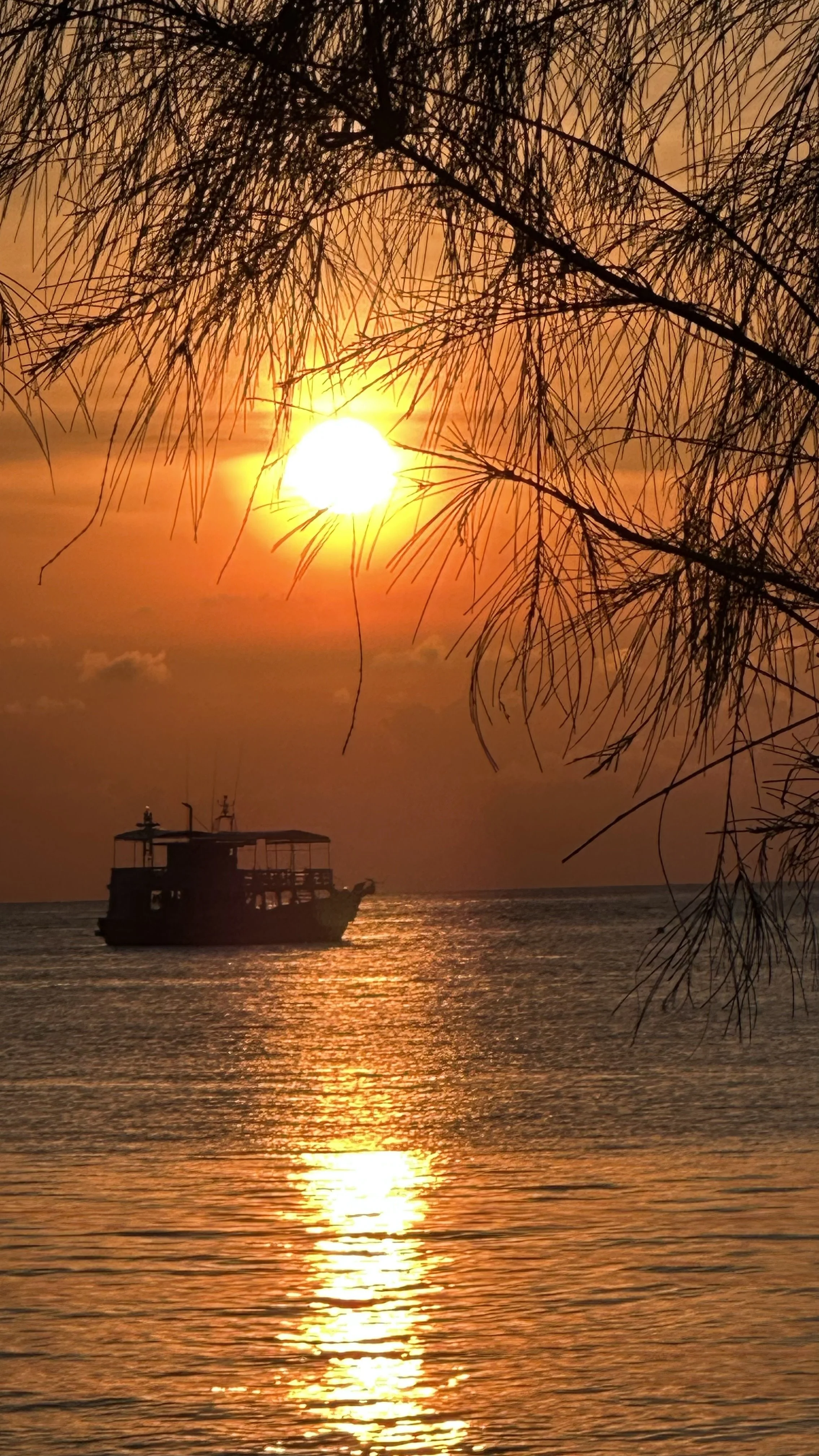 Sunset over the ocean with a boat silhouetted in the distance, framed by branches of a tree in the foreground.