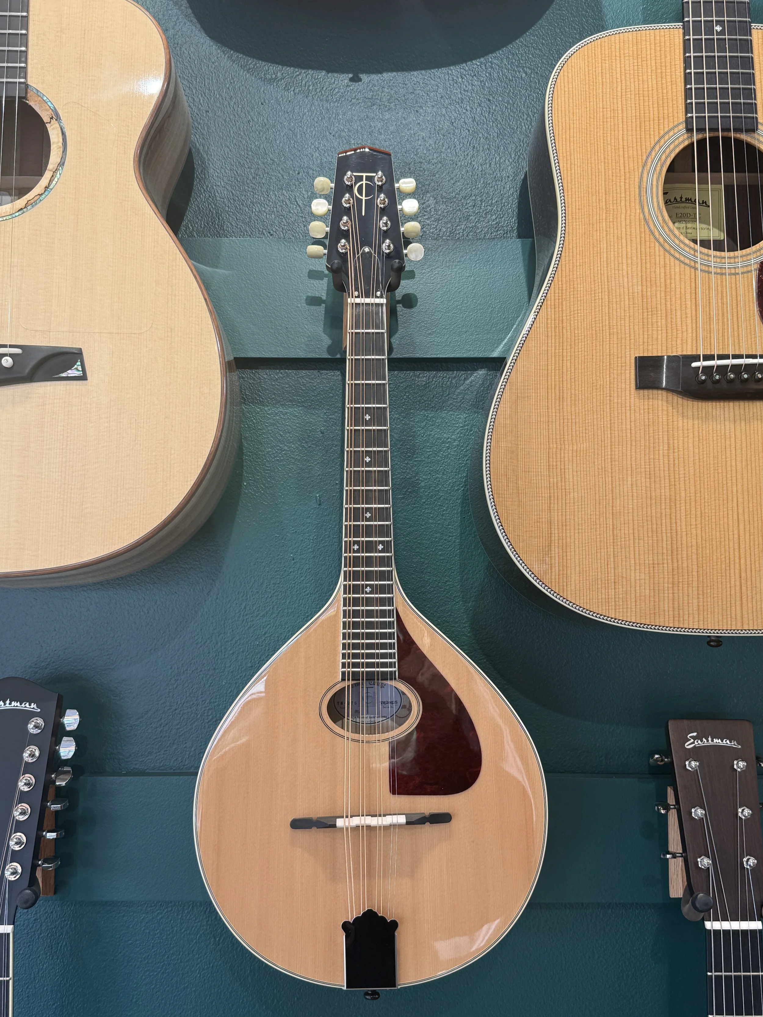 Trinity College Mandola - Includes Deluxe Gig Bag