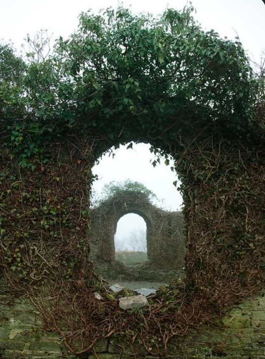 A series of old brick structures with arched openings covered in overgrown vines and greenery, creating a tunnel-like view with foggy background.