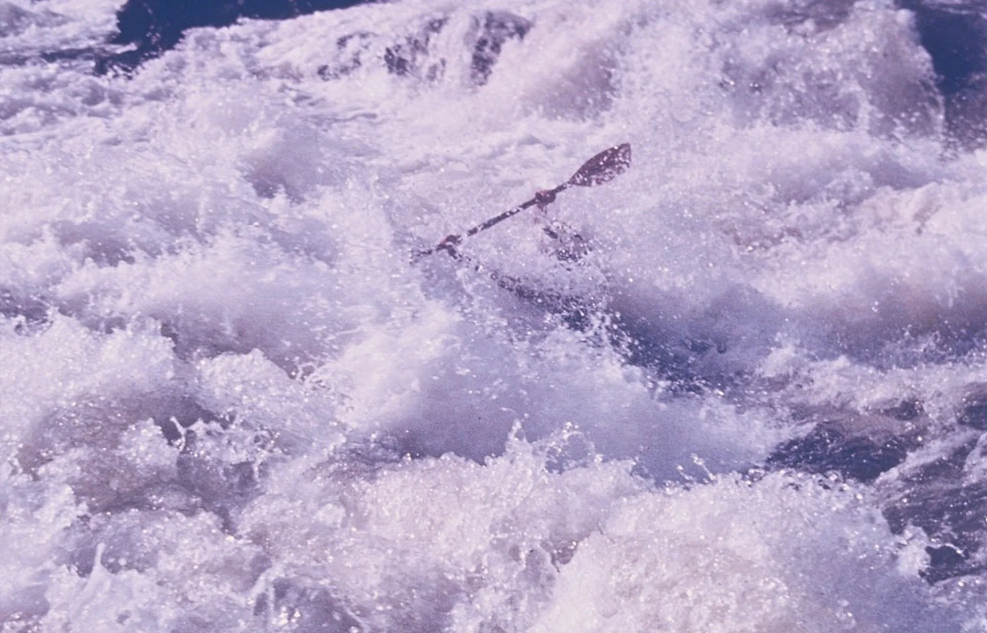 What It’s About, in Will’s Words