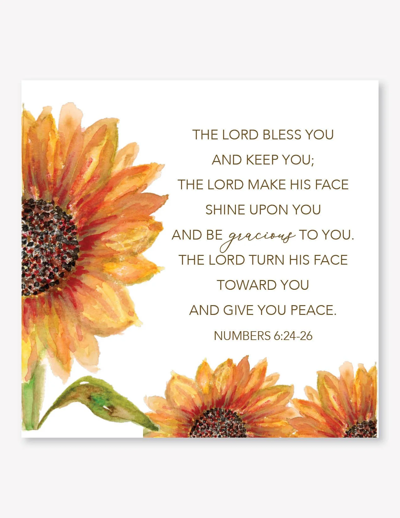 ScriptureDisplay12ShadowViewforWeb.jpg