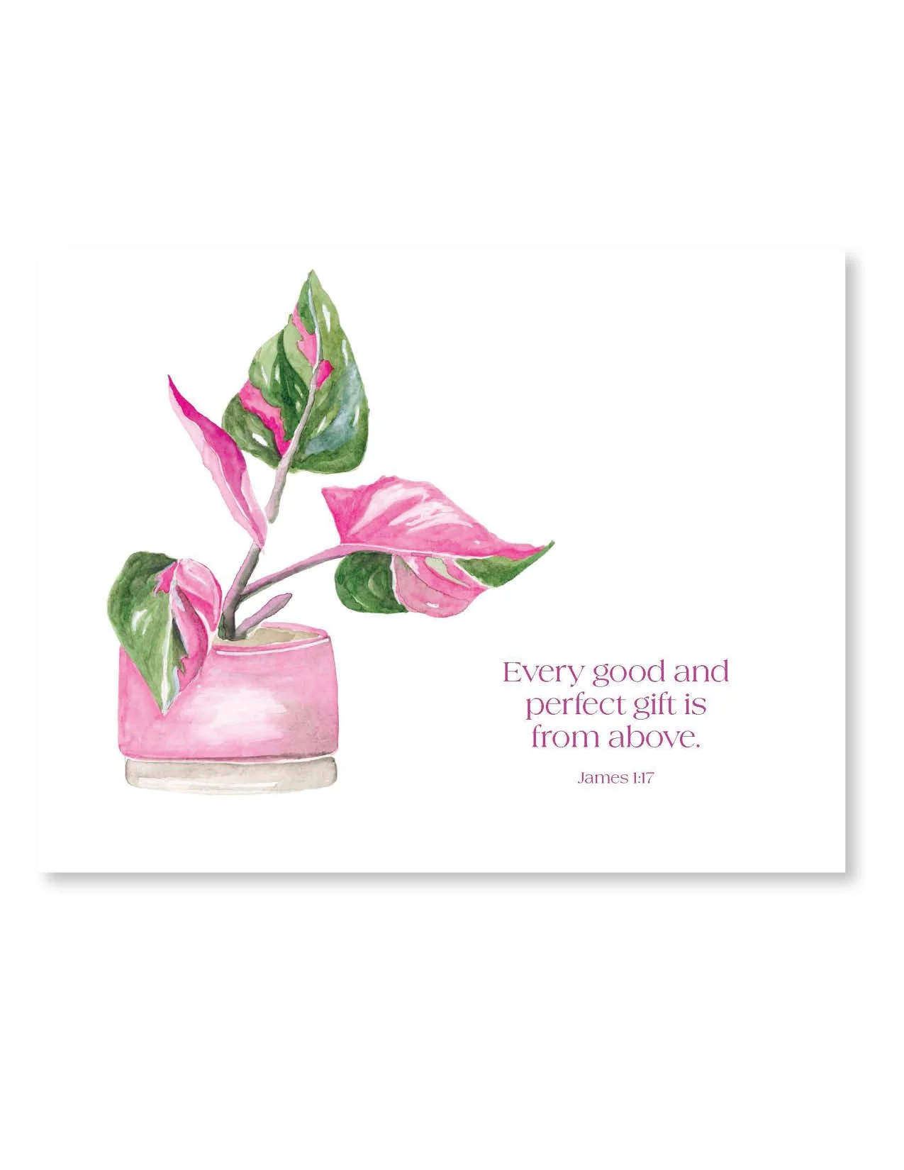 ScriptureCards_4.jpg